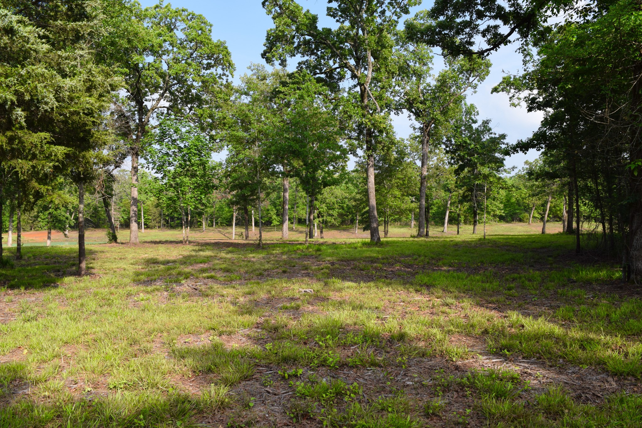 TBD VZ County Road 1507 Road