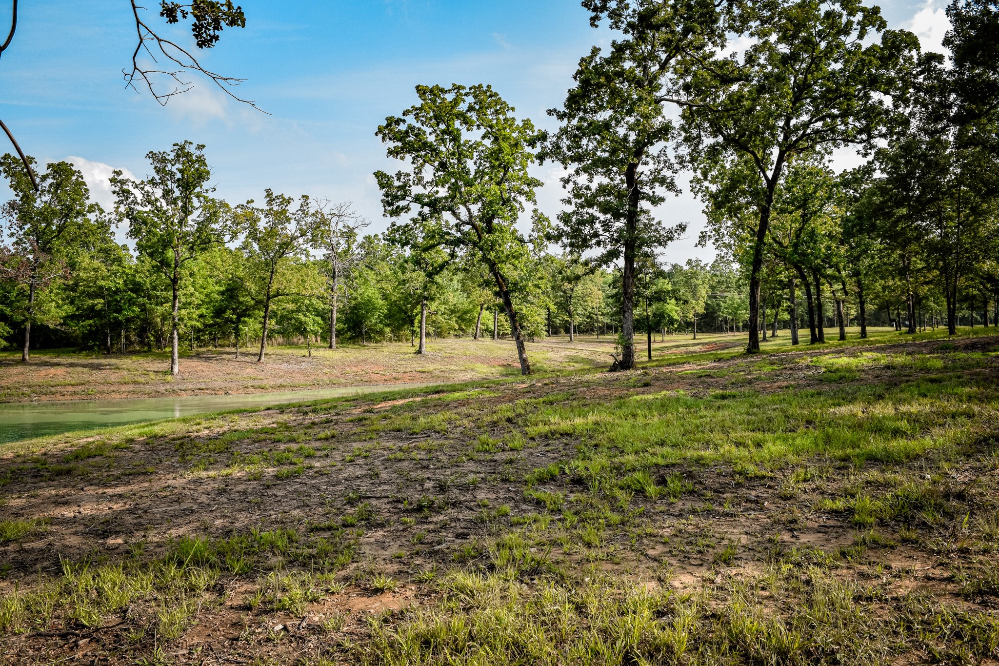 TBD VZ County Road 1507 Road