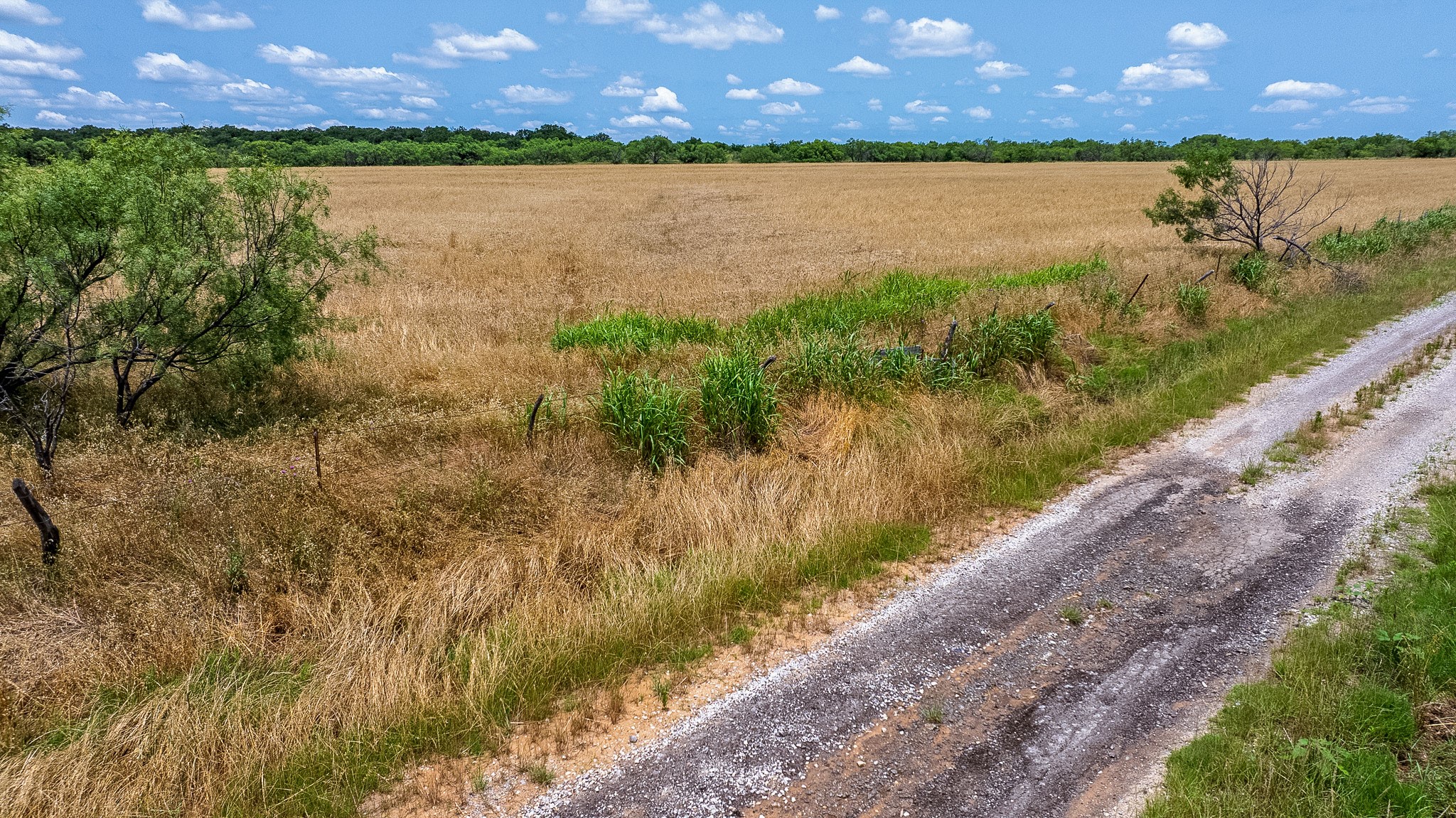 10 Acres Tract 5 Taack Road