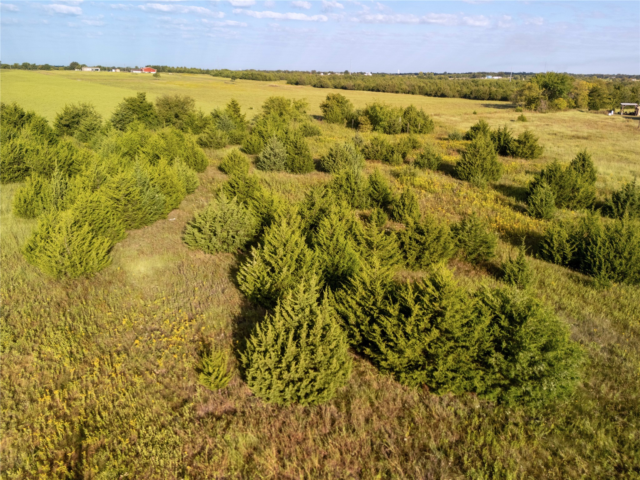 TBD Private Rd 2737