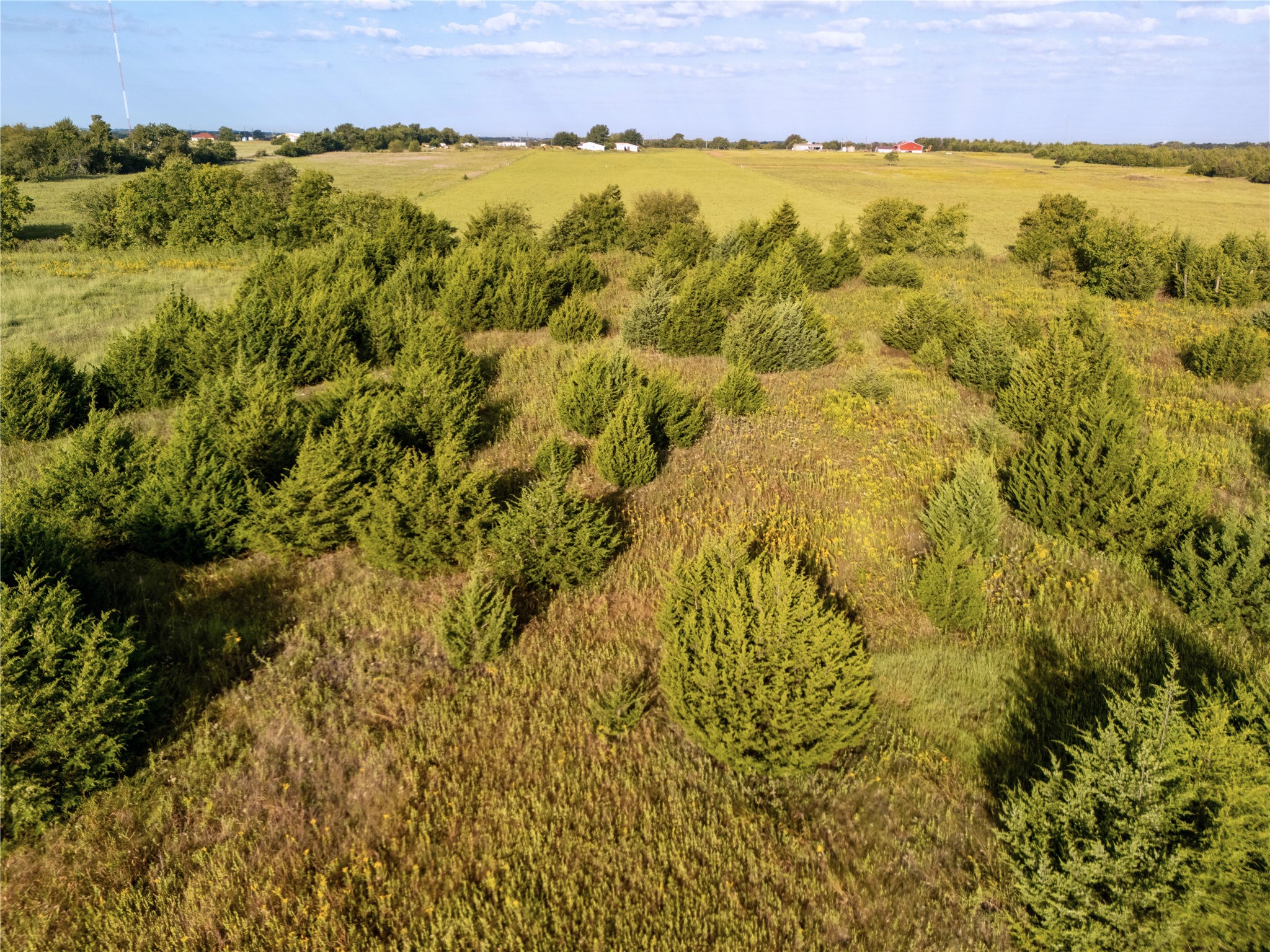 TBD Private Rd 2737