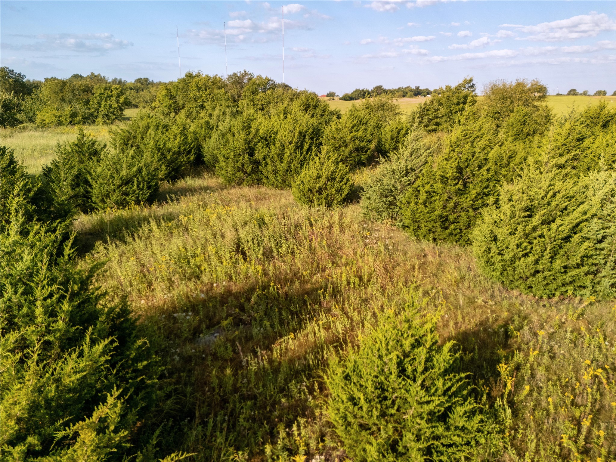TBD Private Rd 2737