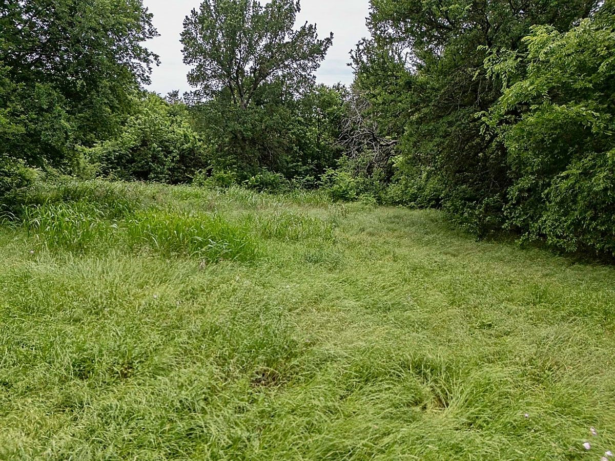 TBD Traildust Drive