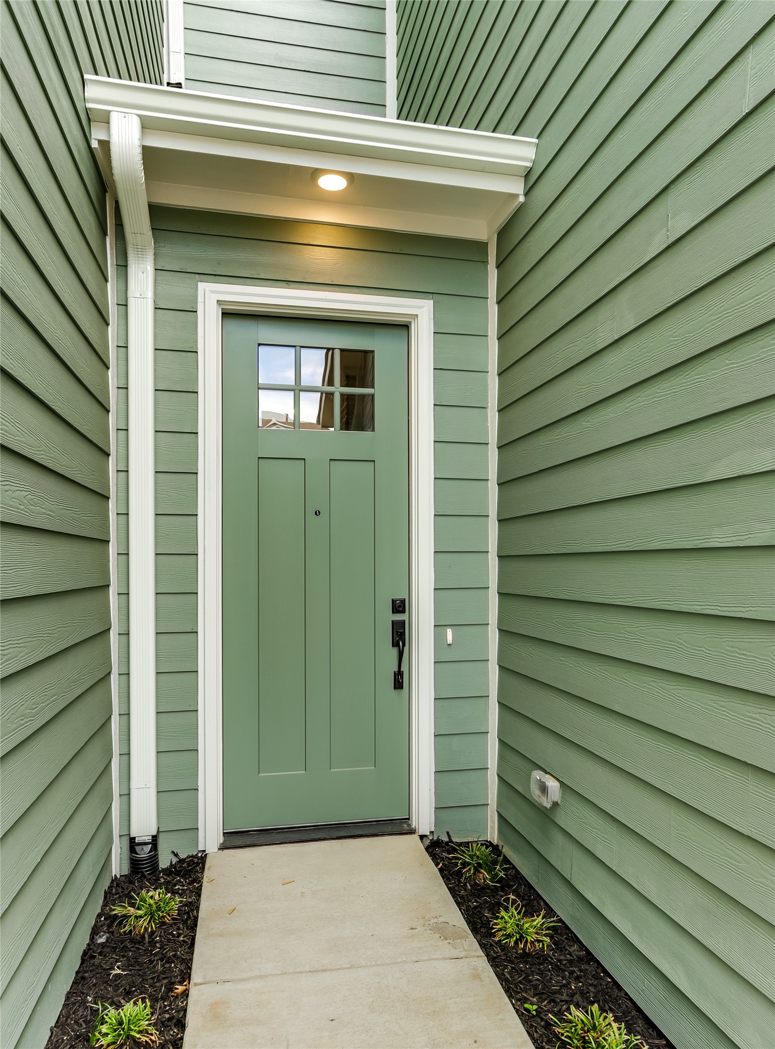 613 Emily Lane