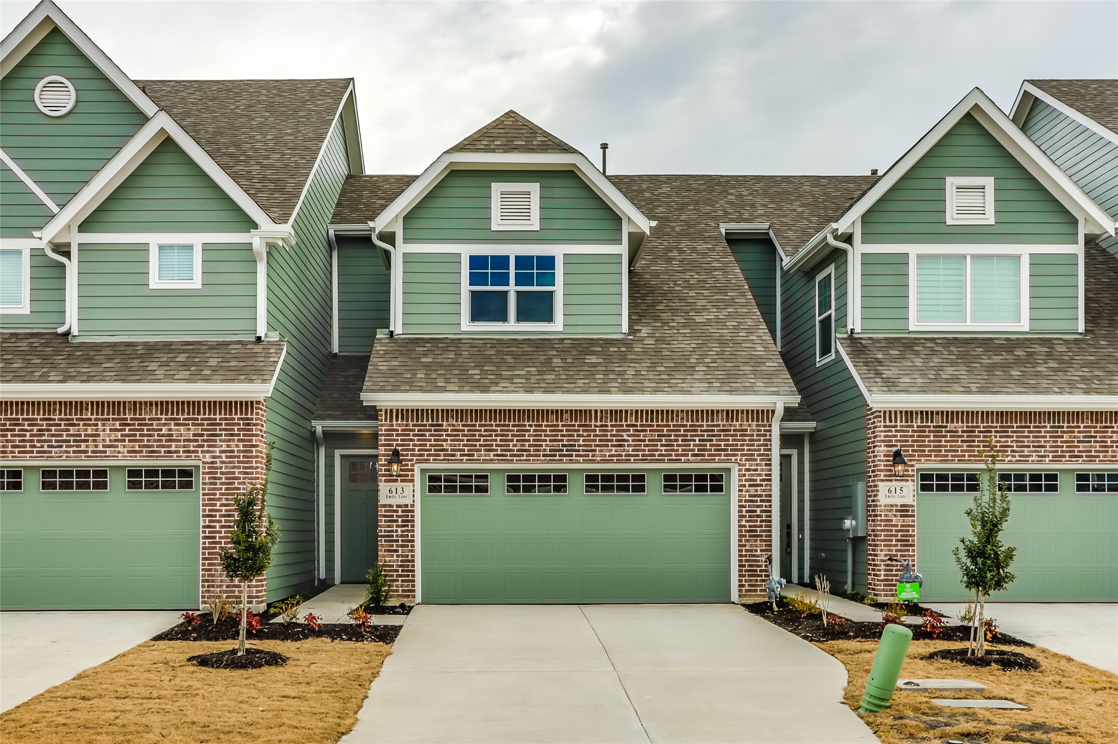 613 Emily Lane