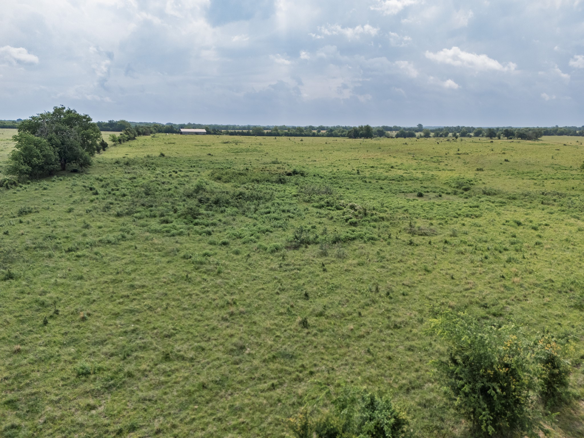 39 Acres County Rd 3255