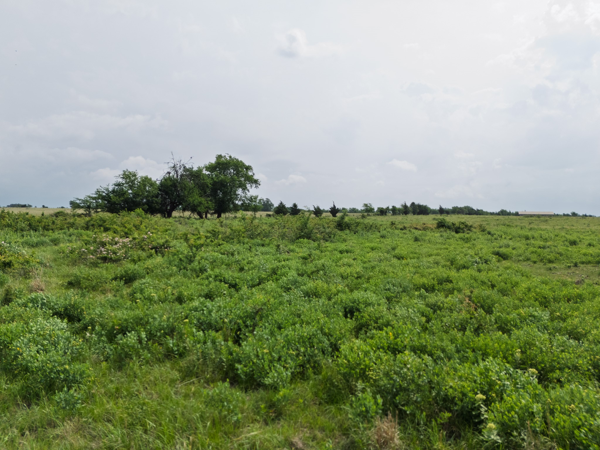 39 Acres County Rd 3255