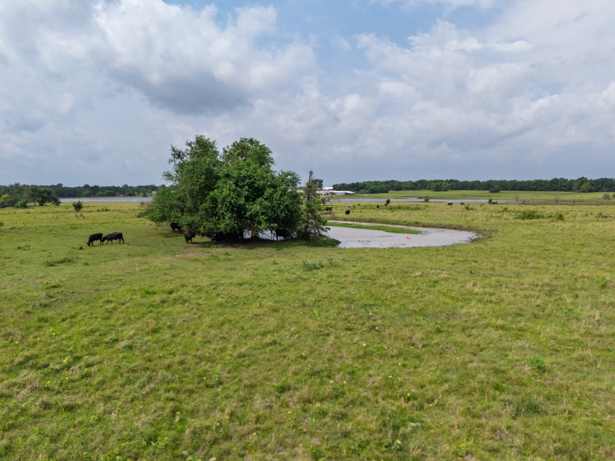 39 Acres County Rd 3255
