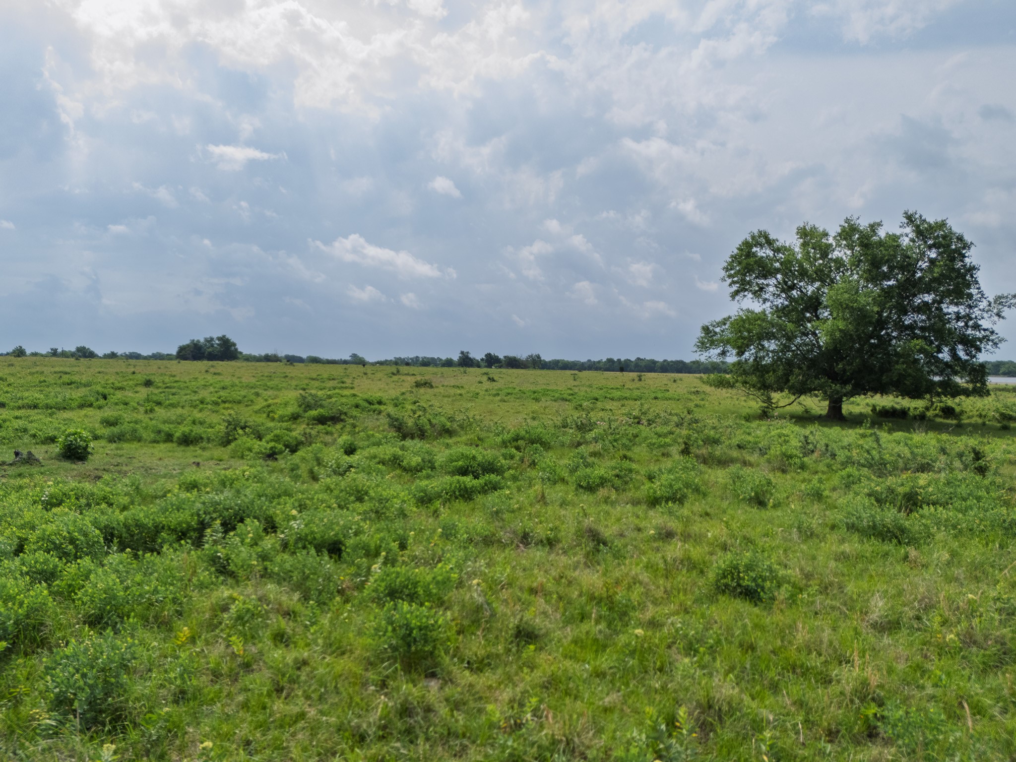 39 Acres County Rd 3255
