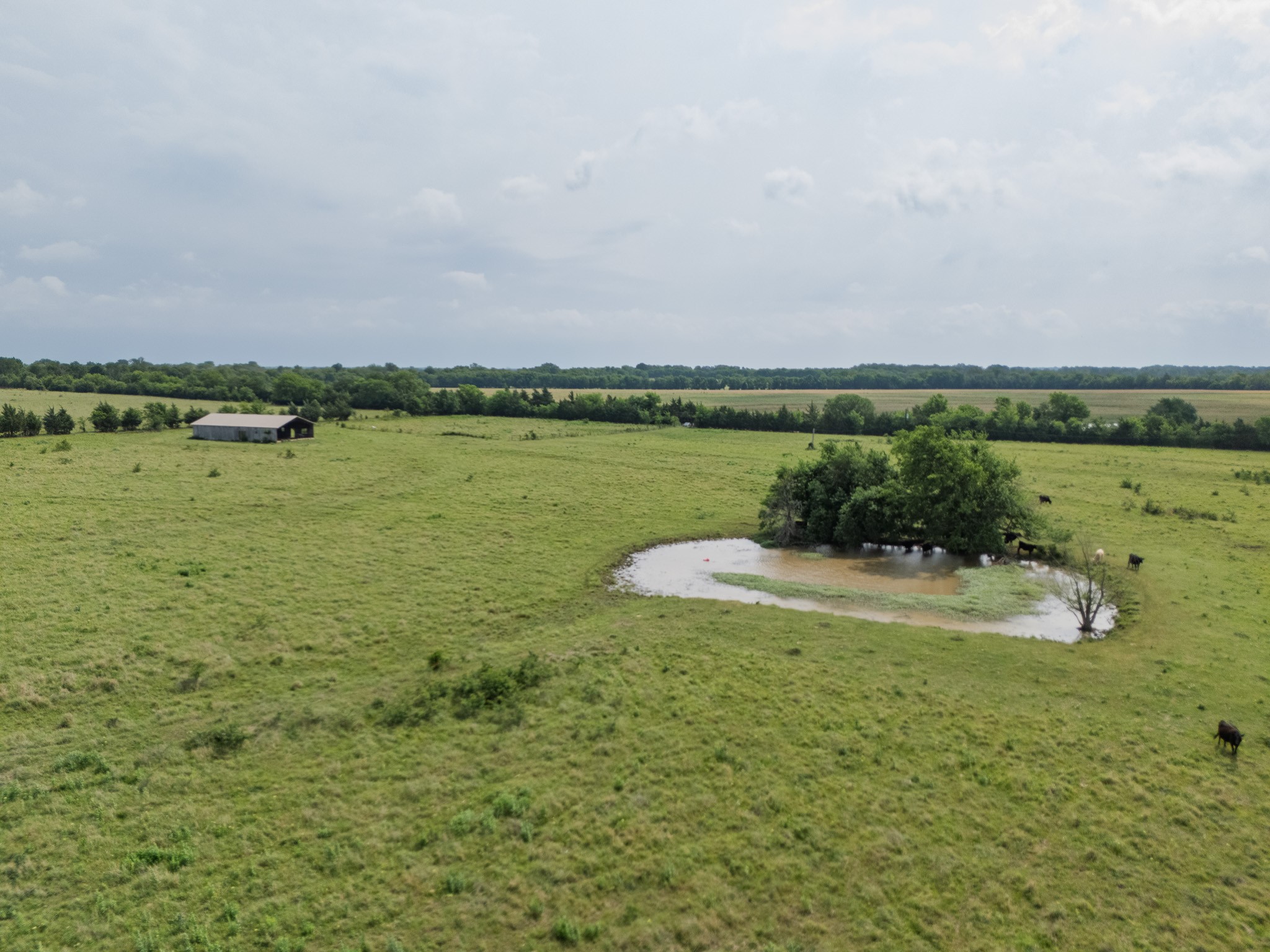 39 Acres County Rd 3255