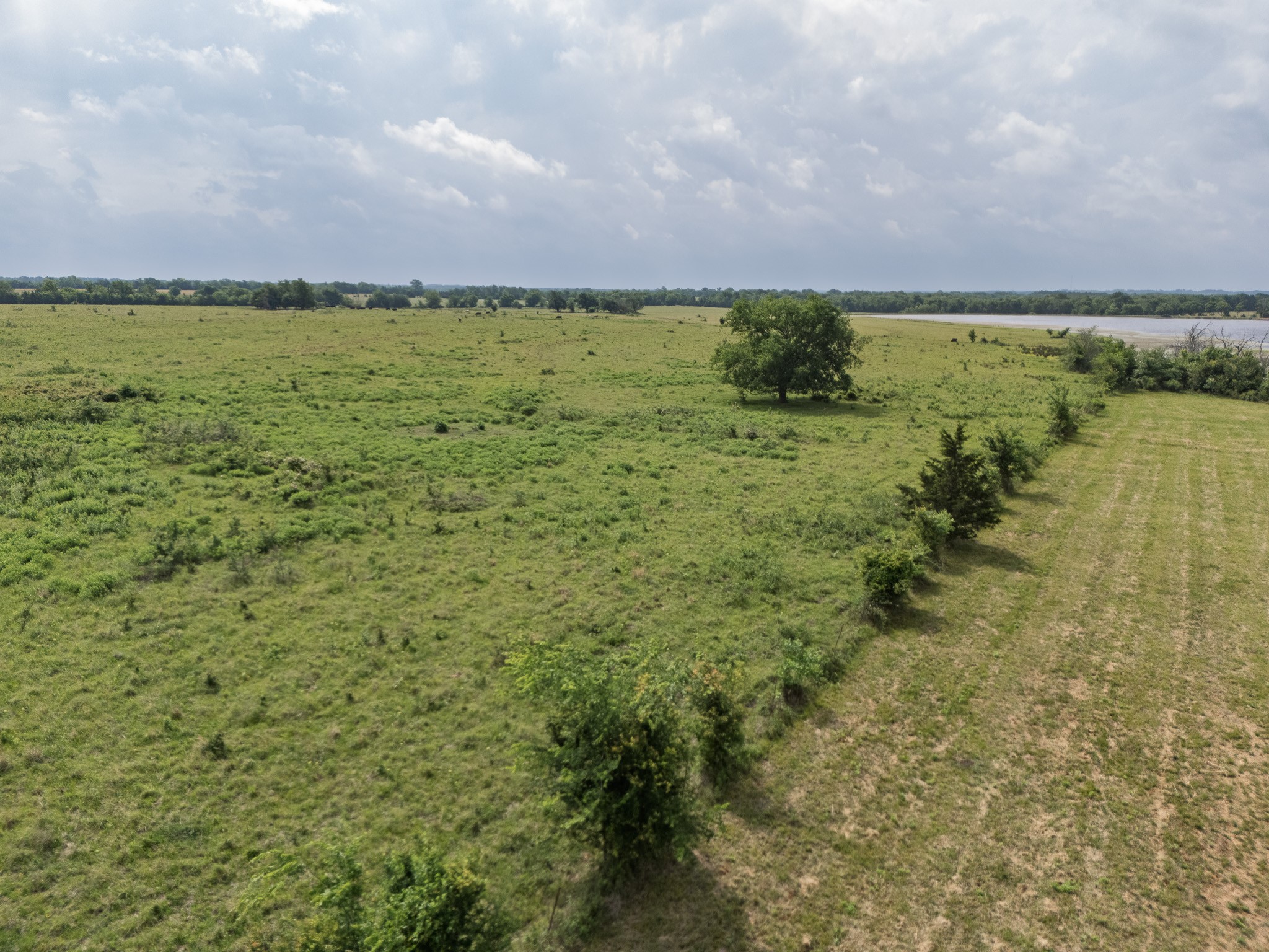 39 Acres County Rd 3255