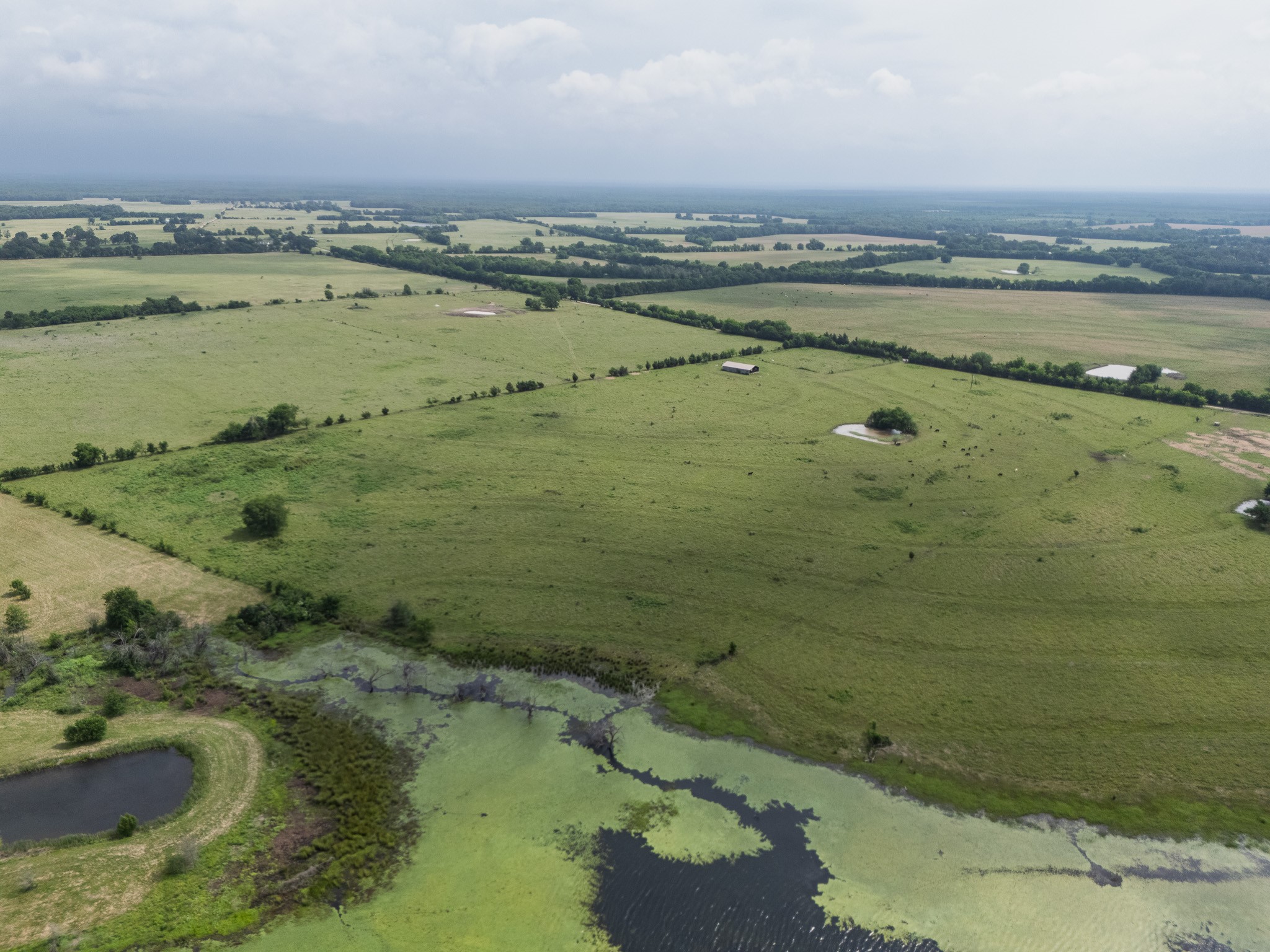 39 Acres County Rd 3255