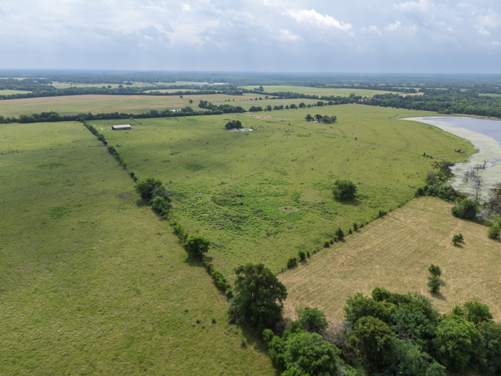 39 Acres County Rd 3255