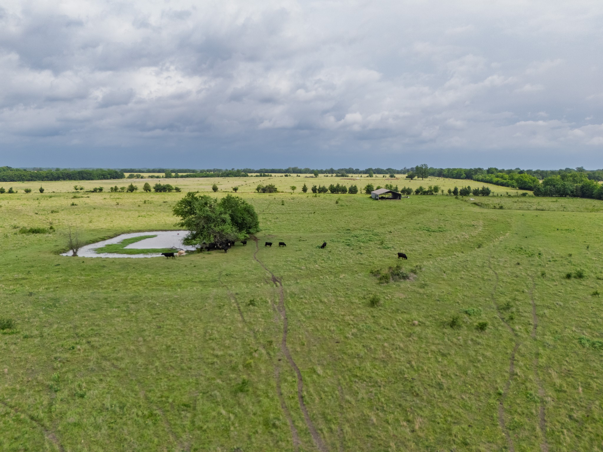 39 Acres County Rd 3255