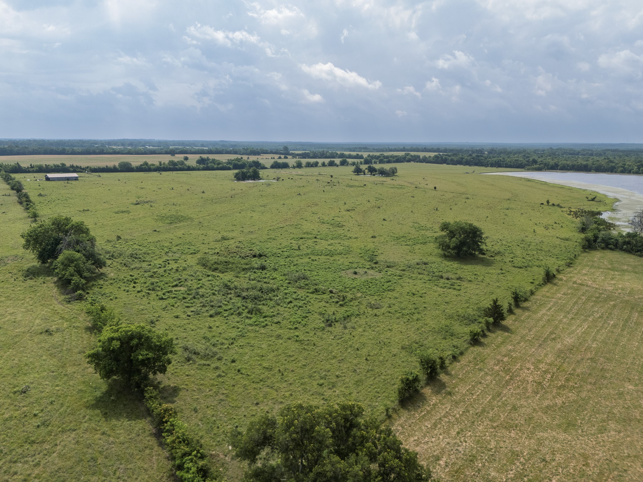 39 Acres County Rd 3255