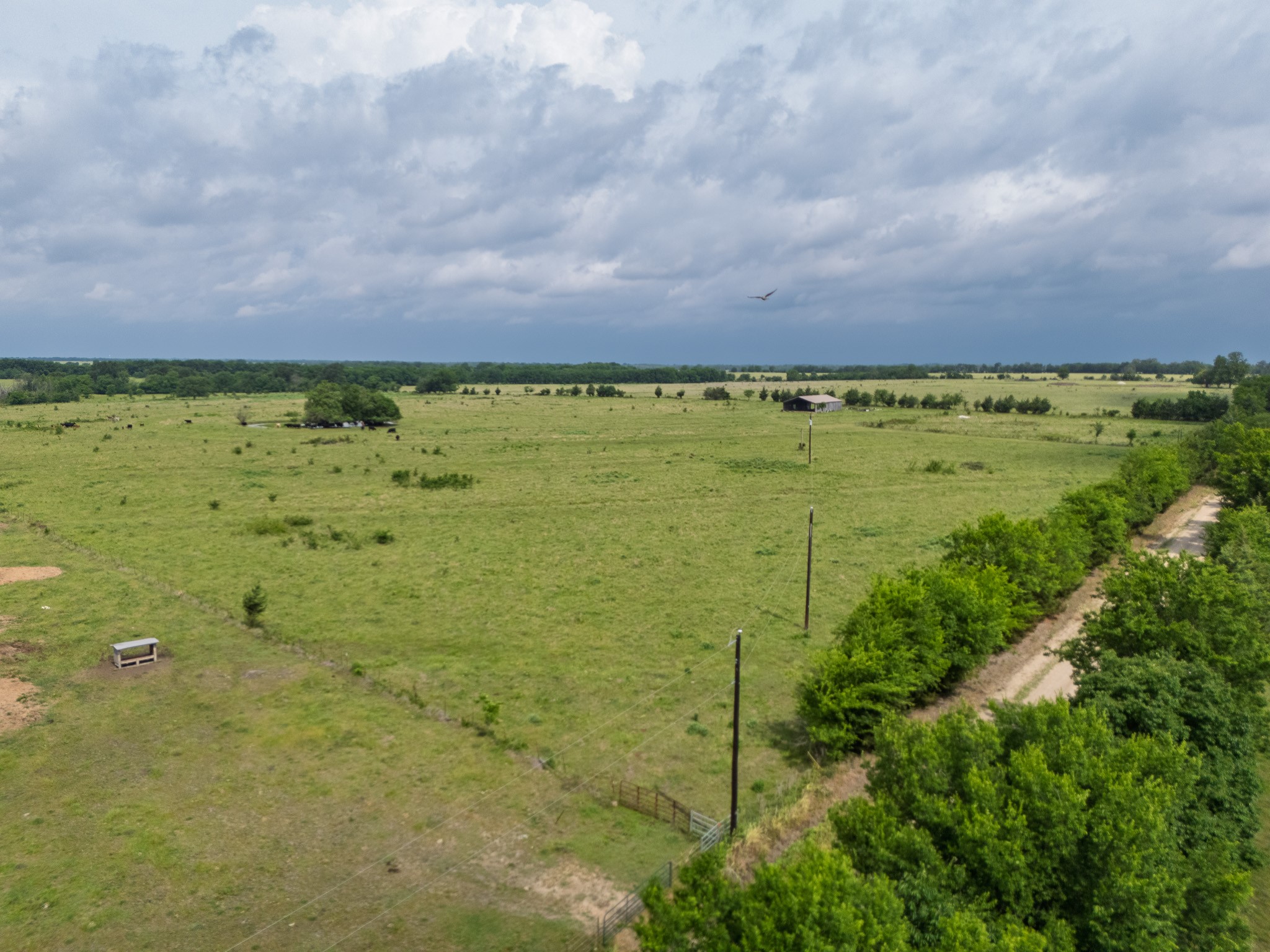 39 Acres County Rd 3255
