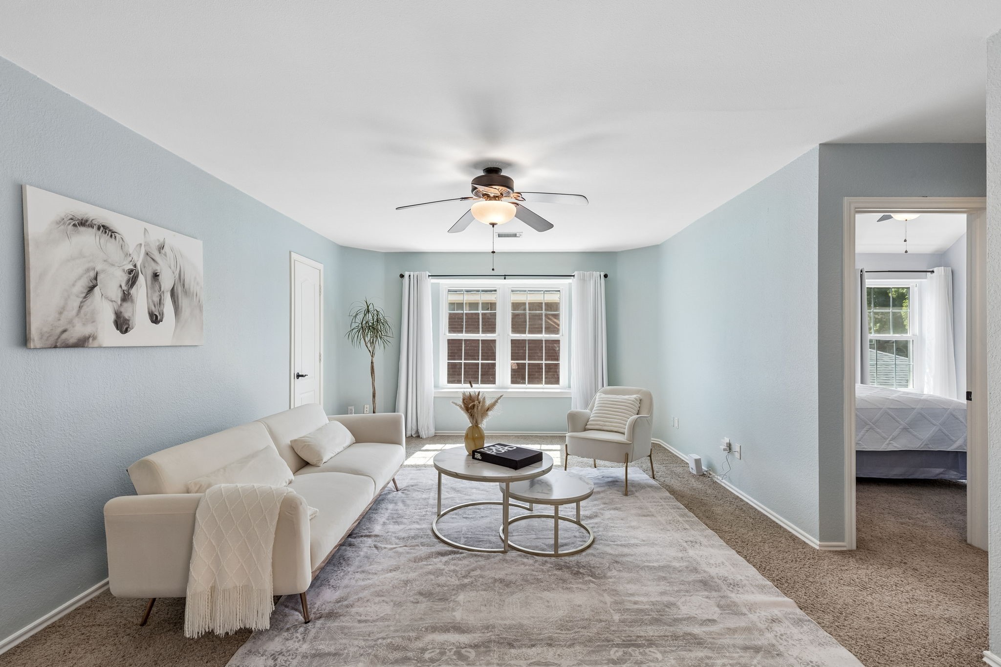 1733 Steamboat Drive