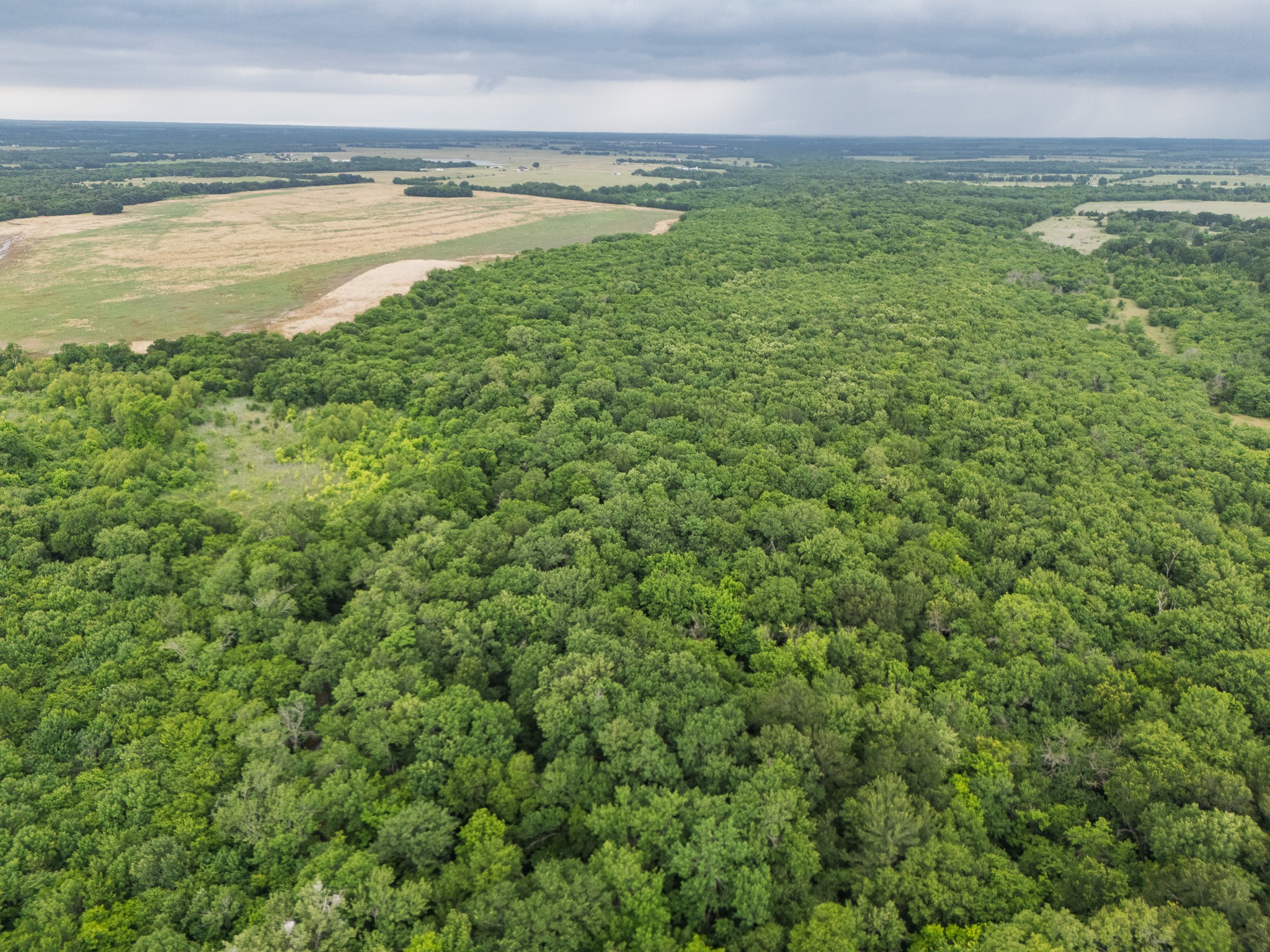 Tract 9 County Road 2158
