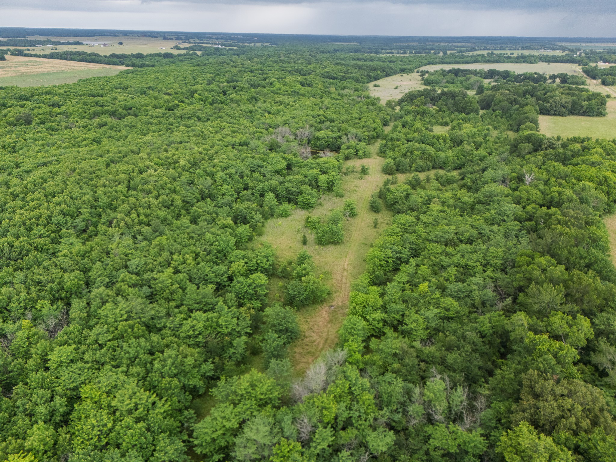 Tract 9 County Road 2158