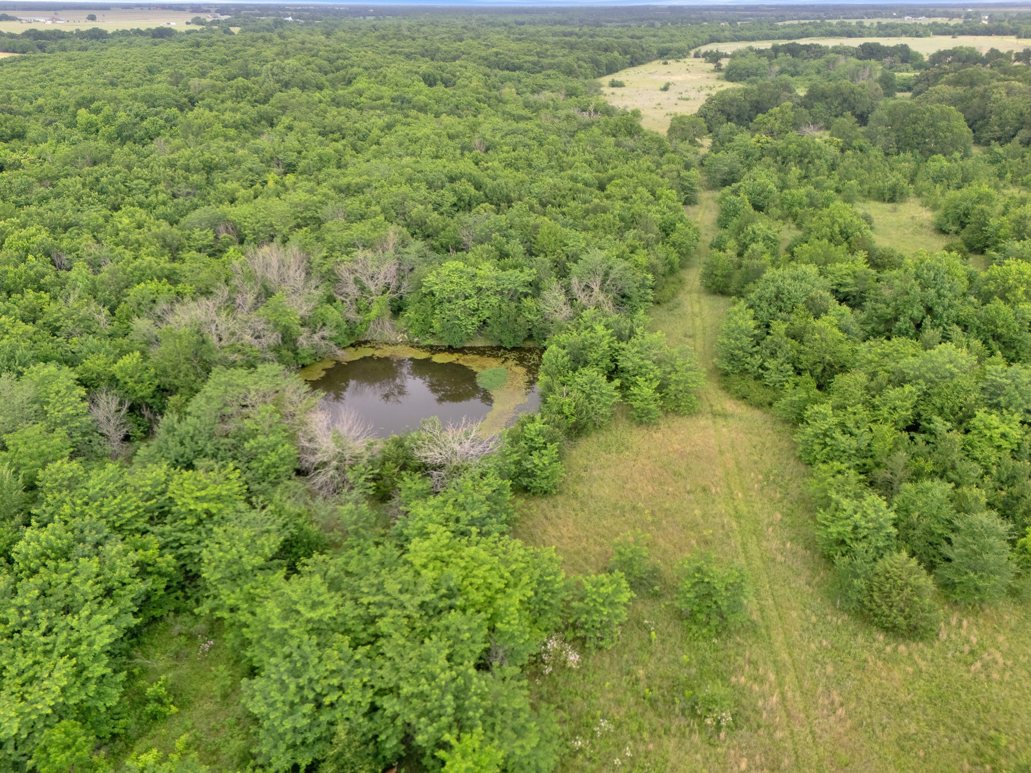 Tract 9 County Road 2158