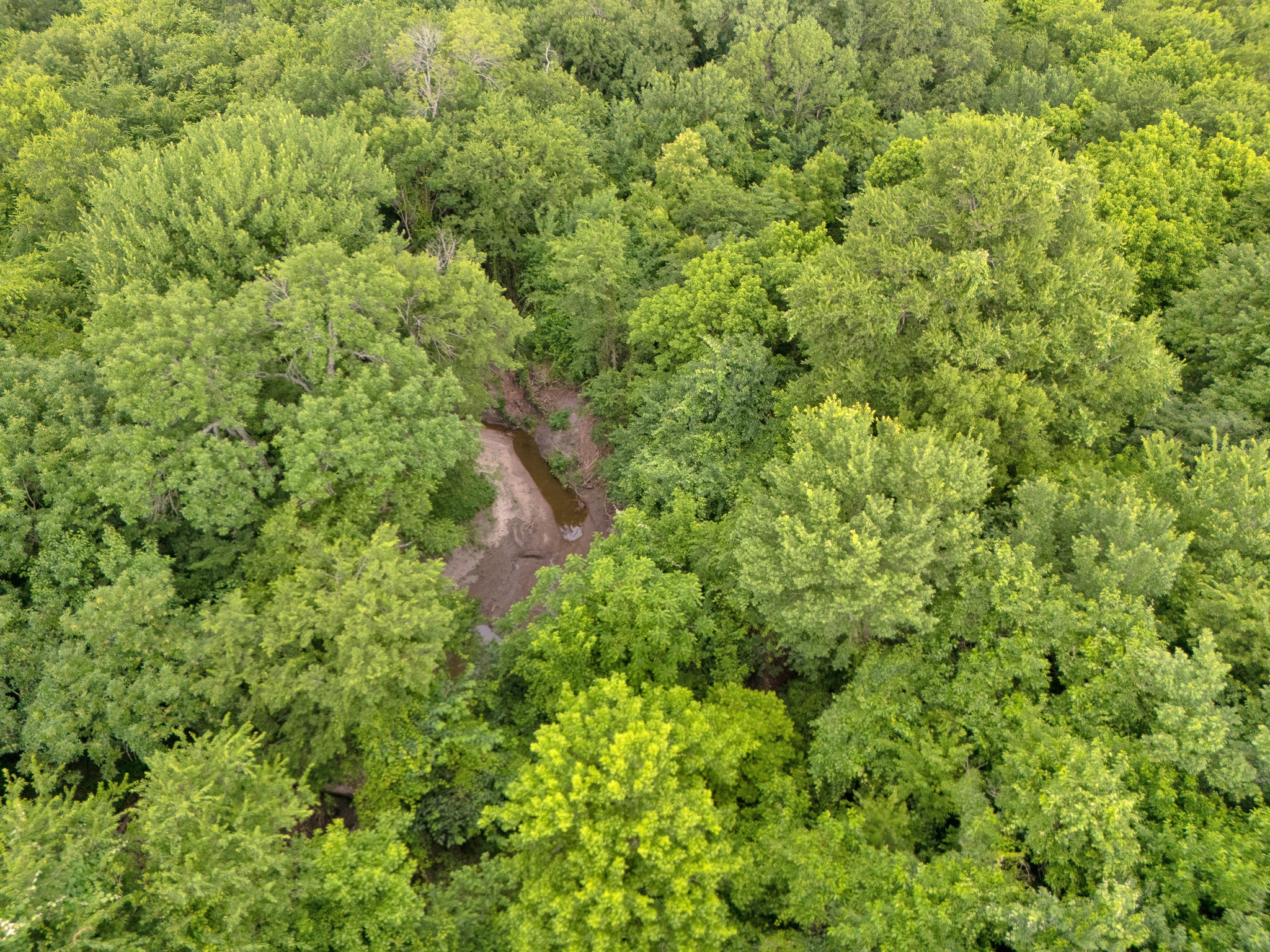 Tract 9 County Road 2158
