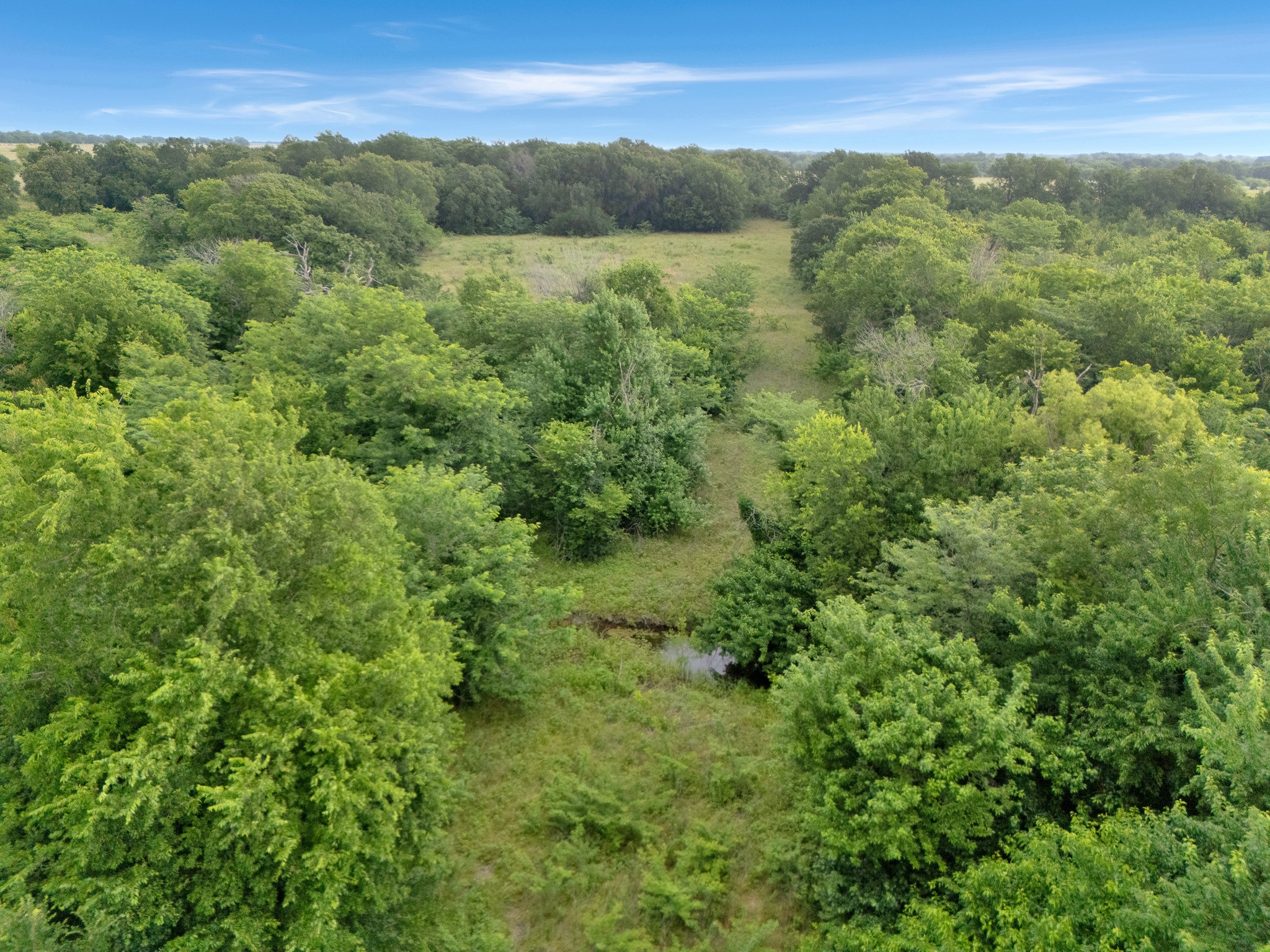 Tract 9 County Road 2158