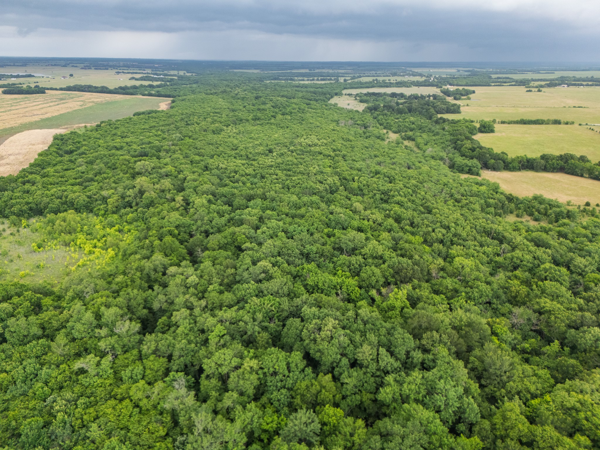 Tract 9 County Road 2158