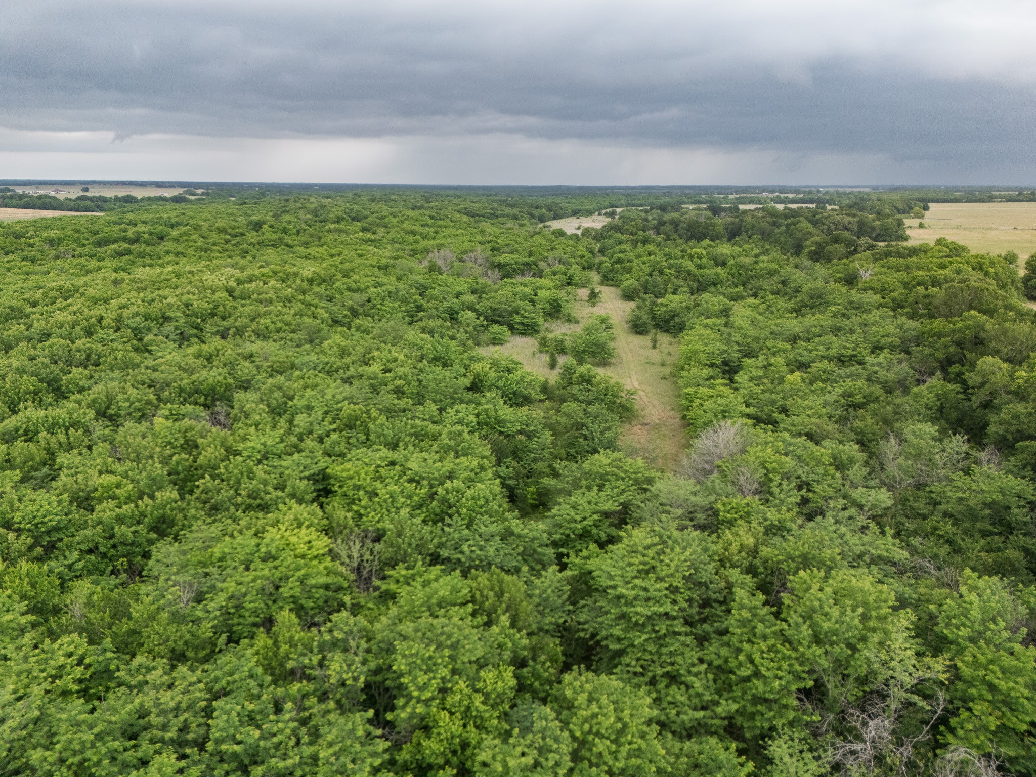 Tract 9 County Road 2158