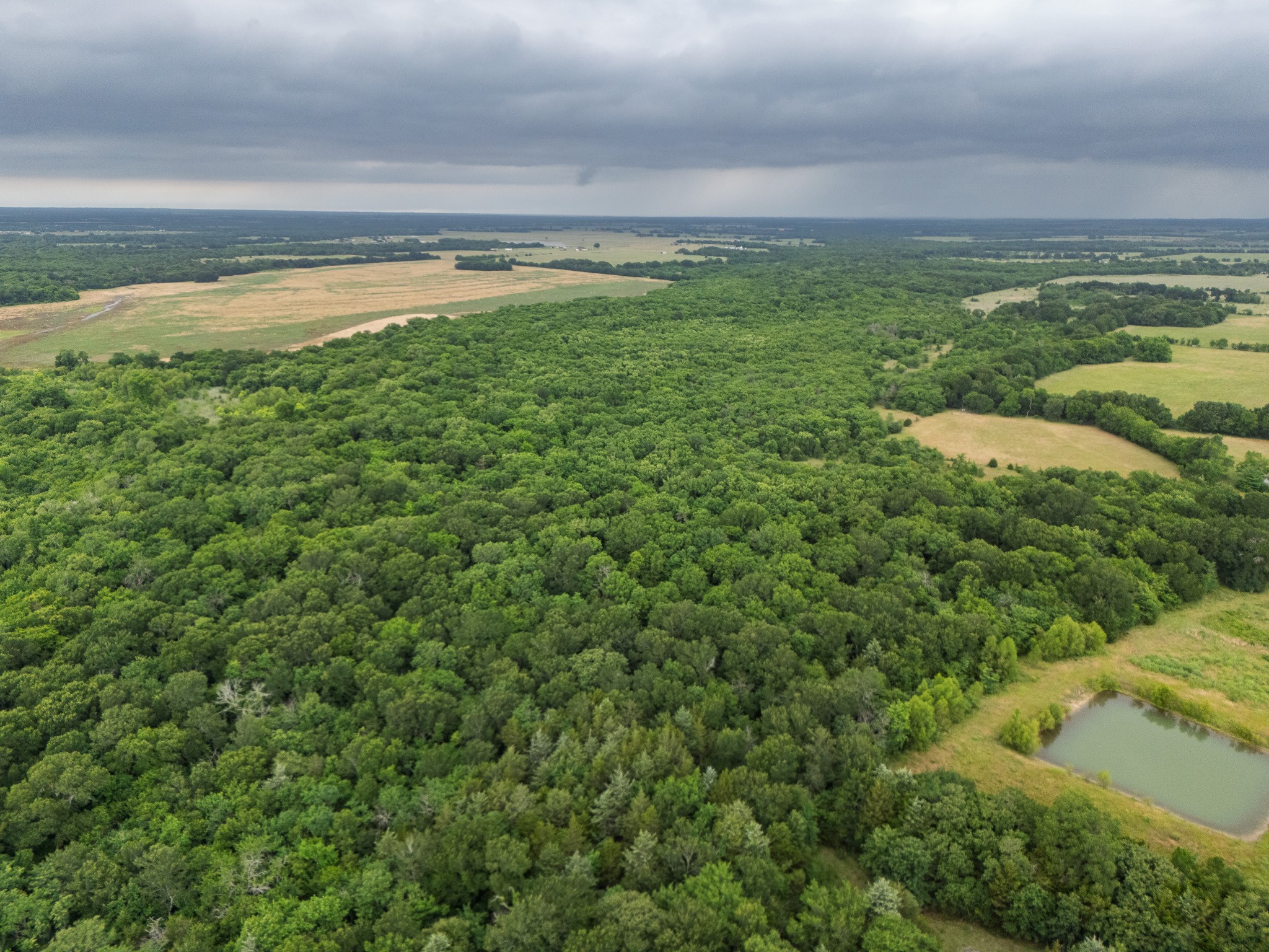 Tract 9 County Road 2158