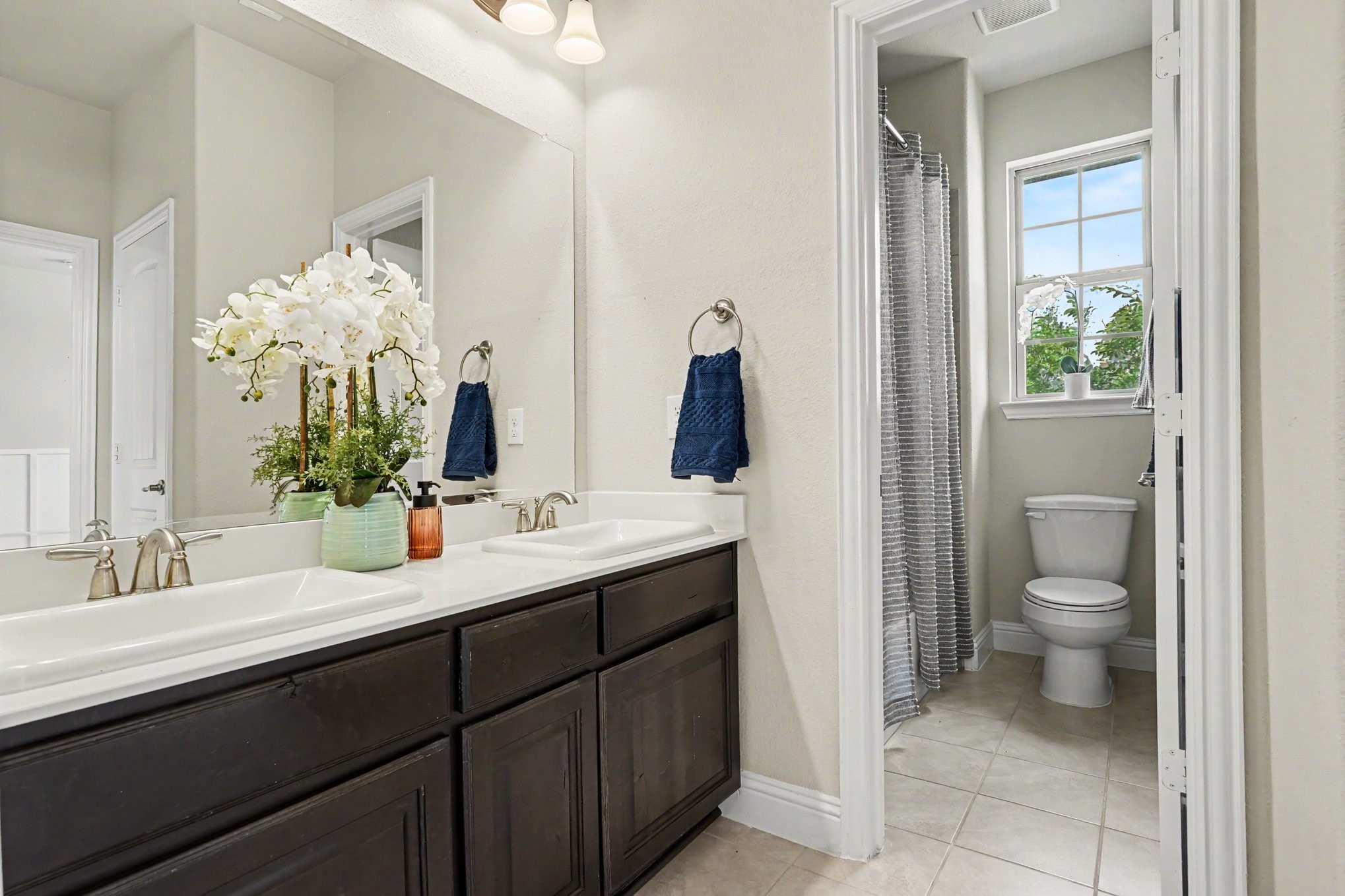 273 Shallow Brook Drive