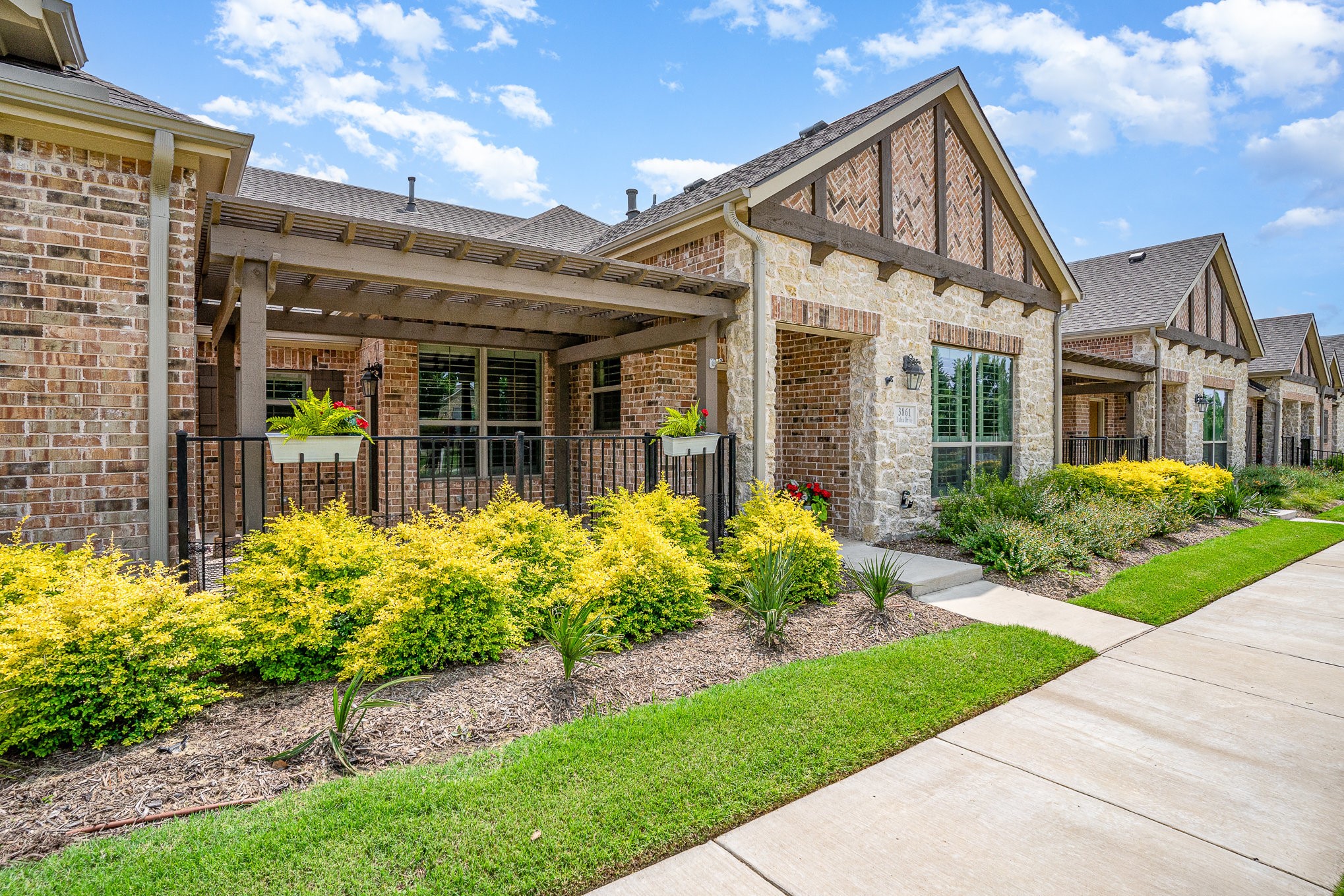 3861 Dalea Drive