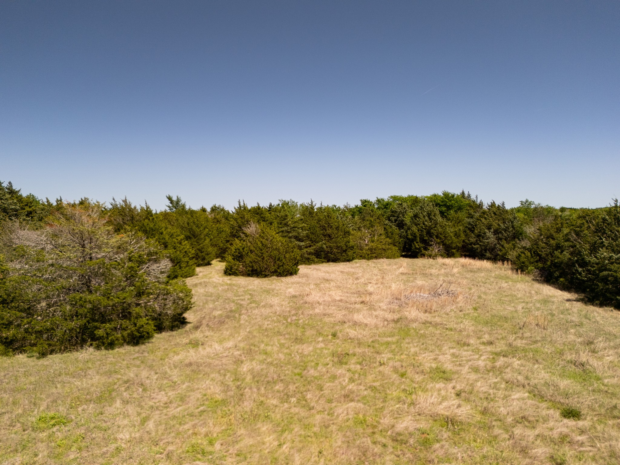 TBD 13 Acres County Road 1134