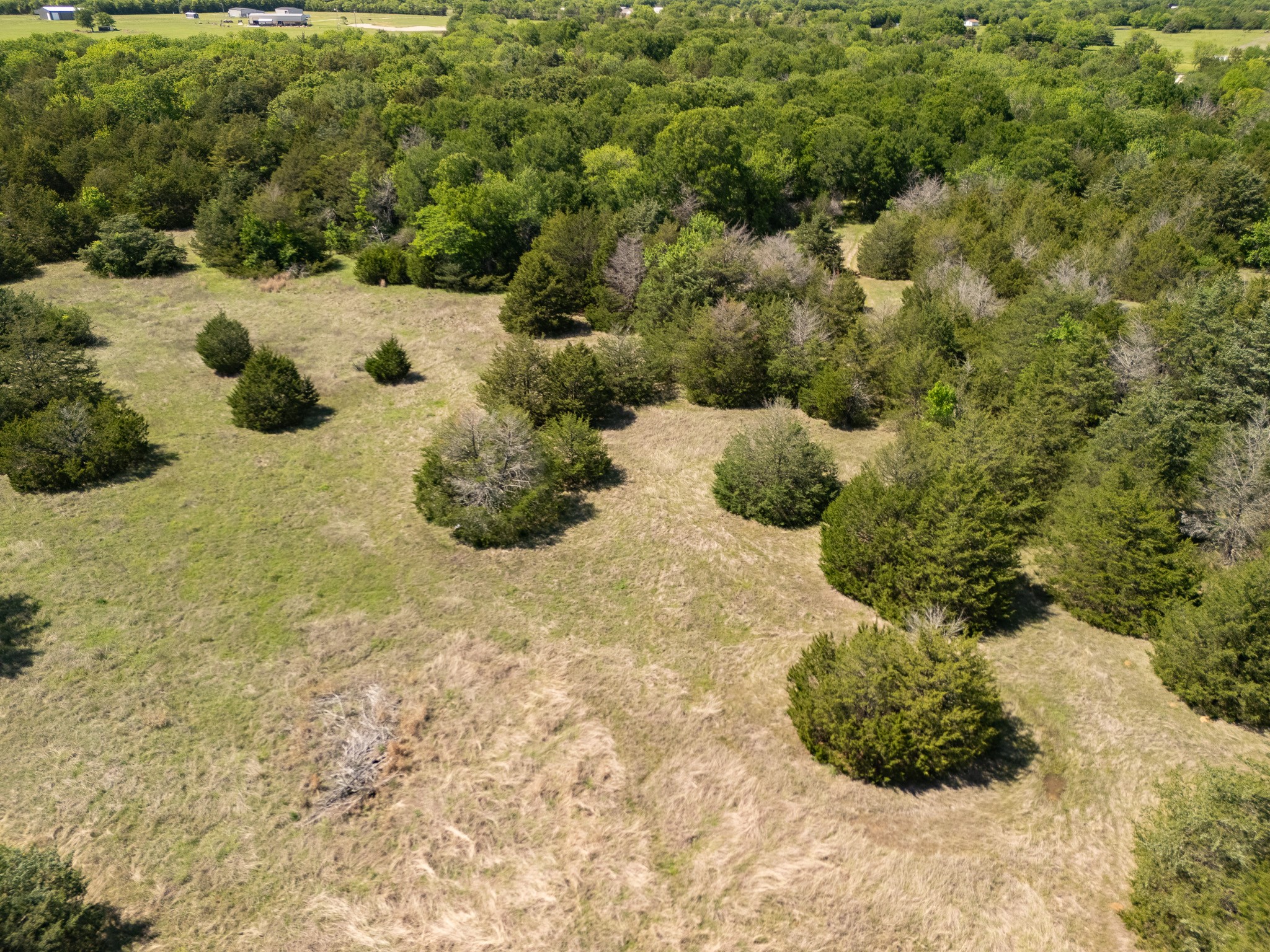 TBD 13 Acres County Road 1134