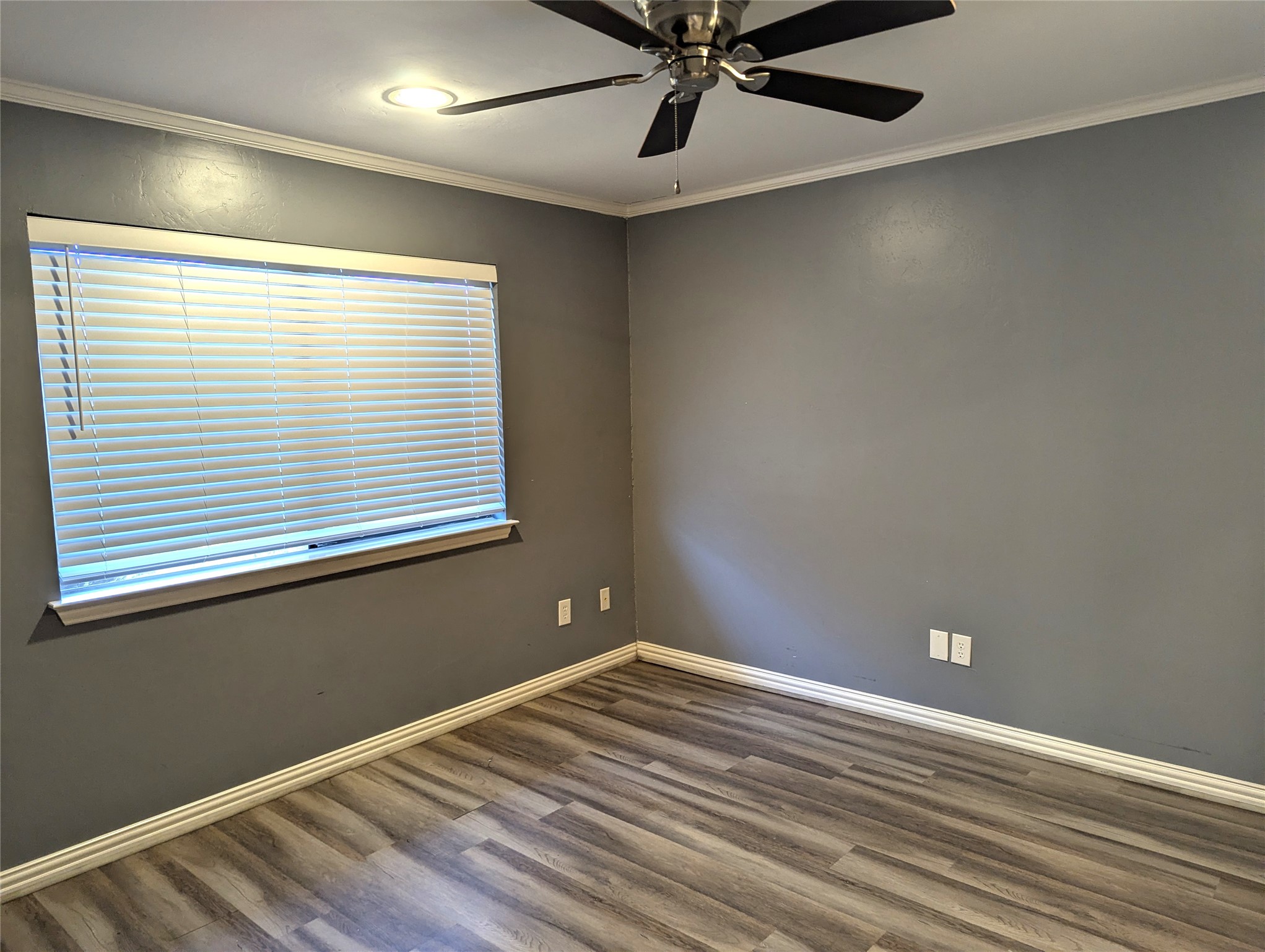 509 Pine Trail Drive