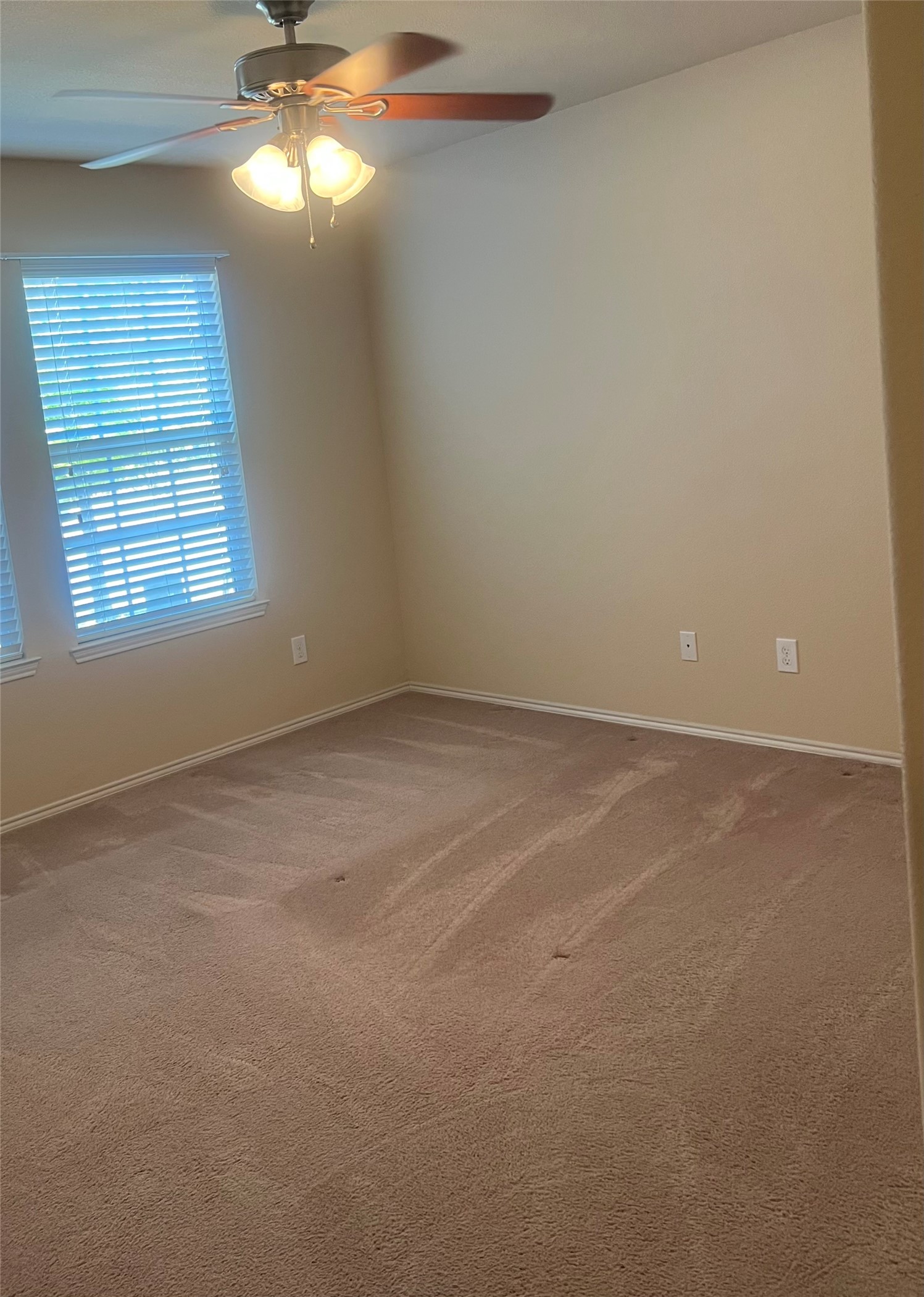 1417 Lone Pine Drive