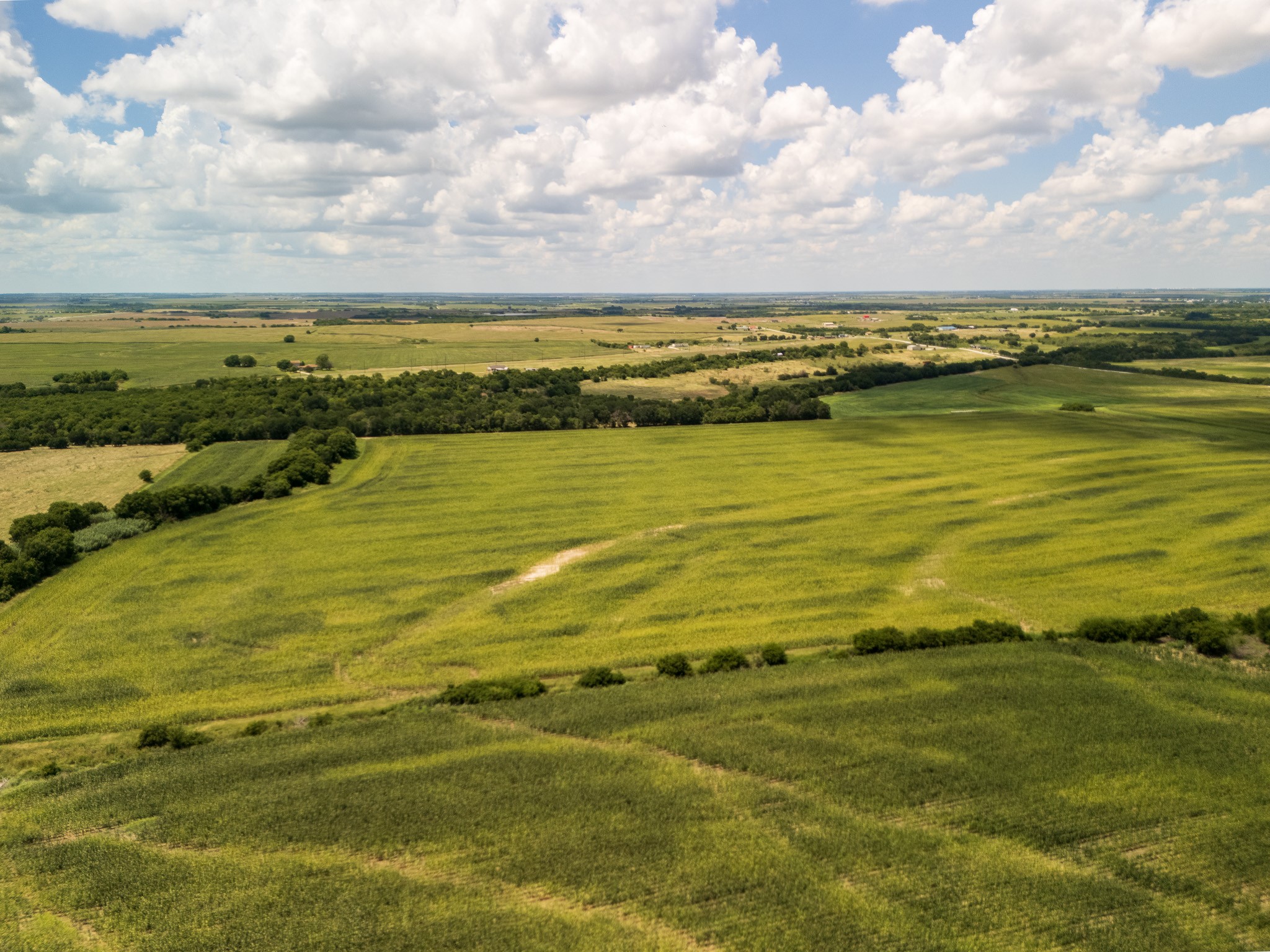 11 Acres County Rd 3150