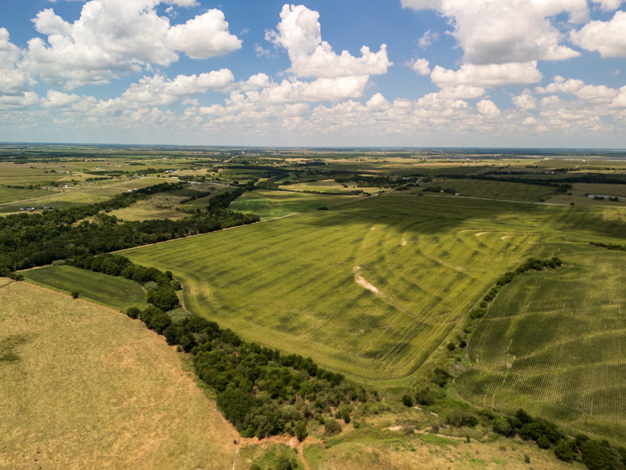 11 Acres County Rd 3150