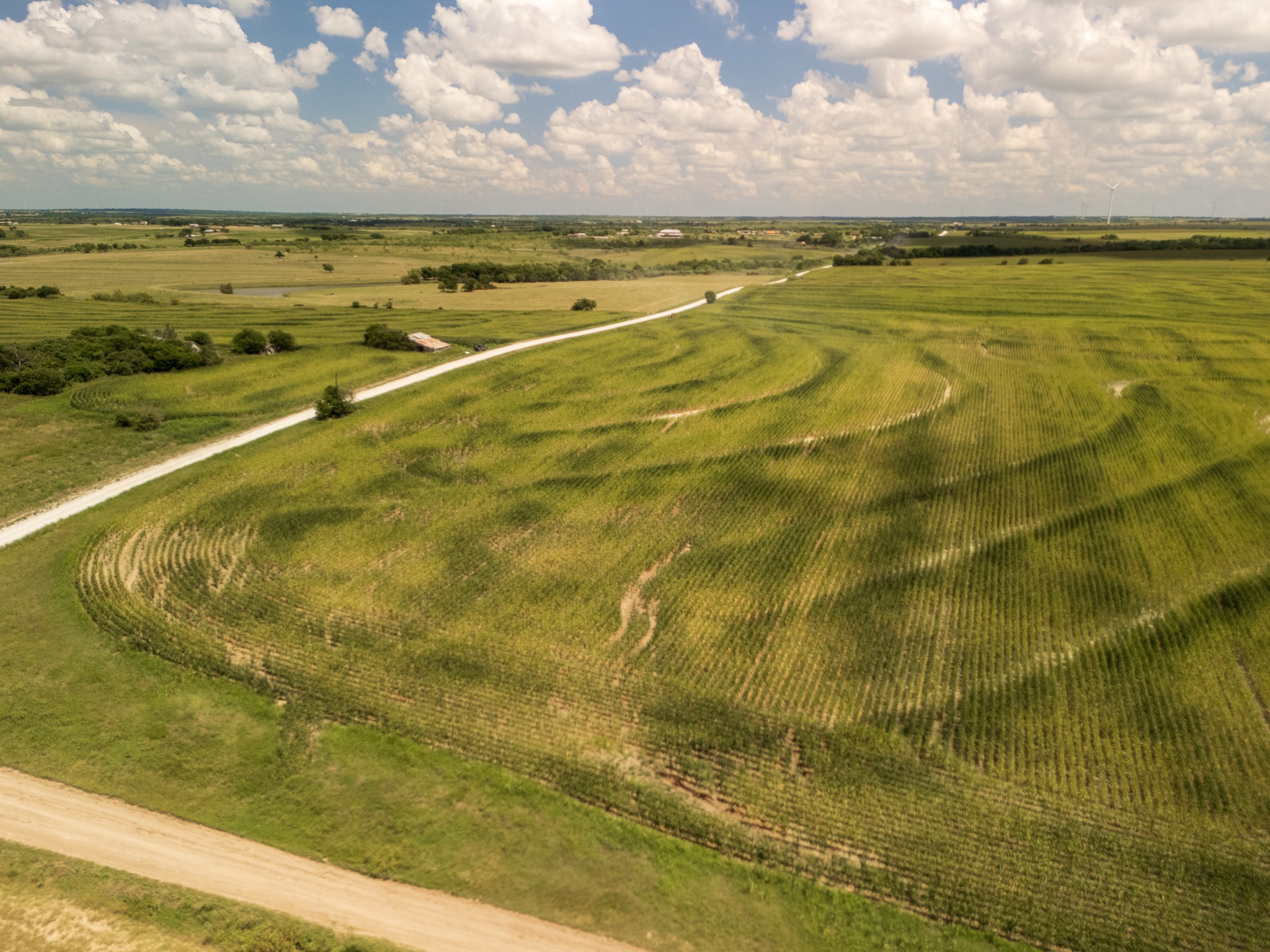 11 Acres County Rd 3150