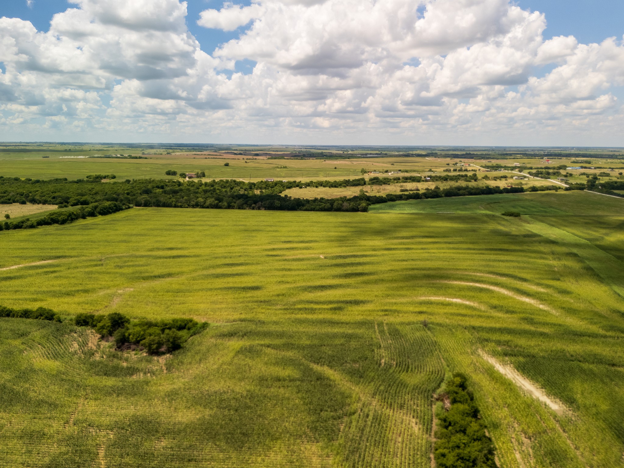 11 Acres County Rd 3150