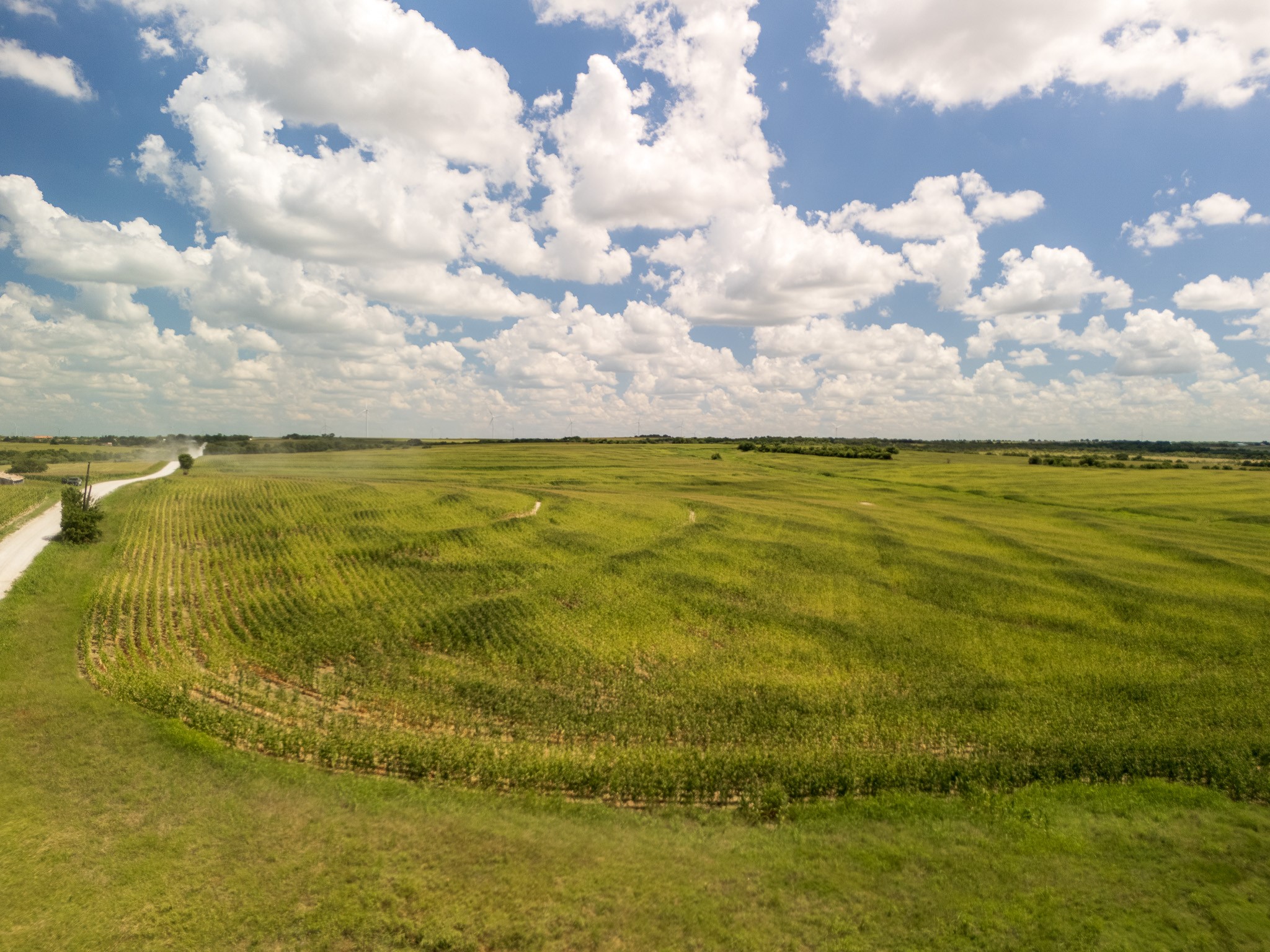 11 Acres County Rd 3150