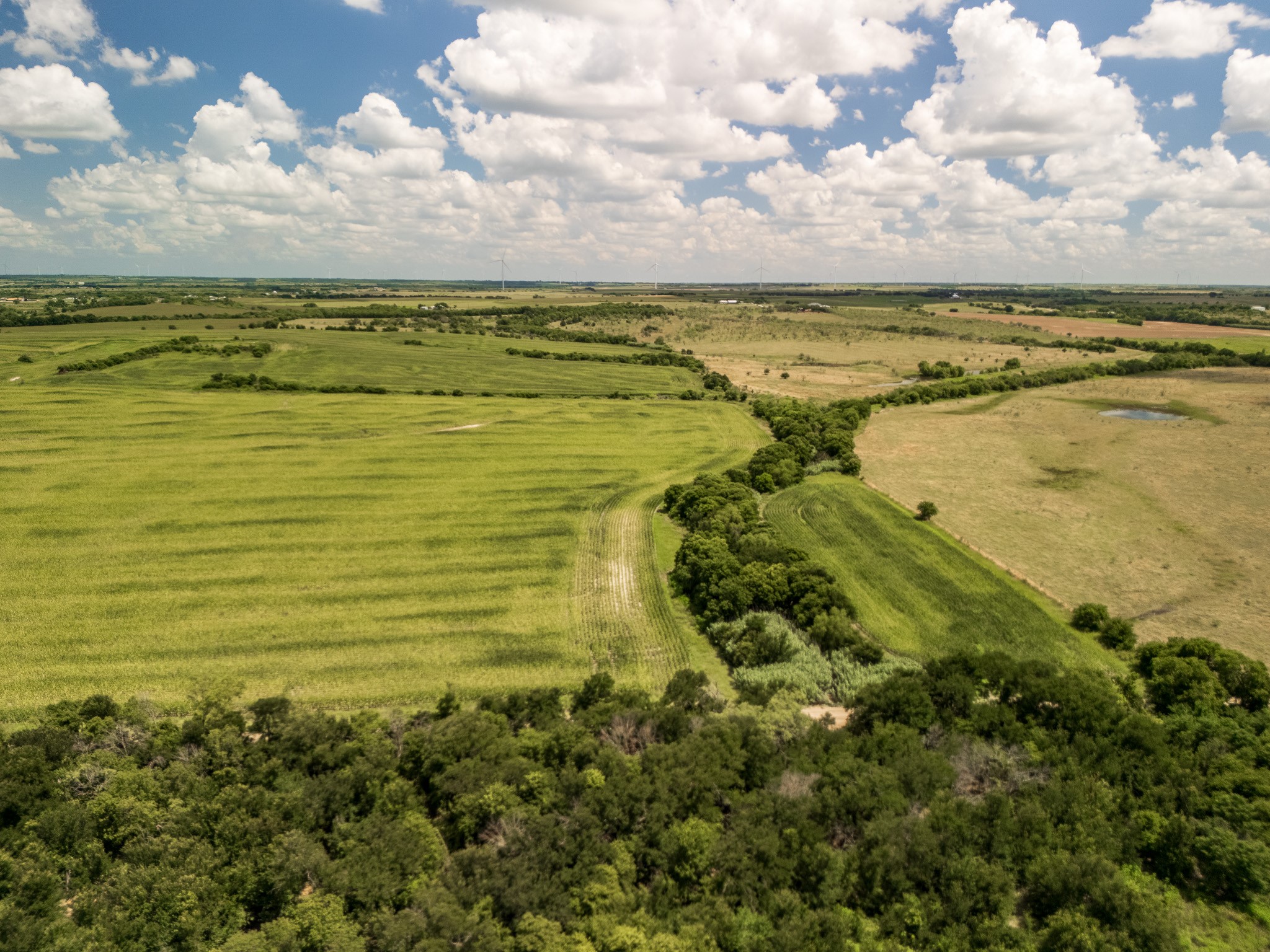 11 Acres County Rd 3150