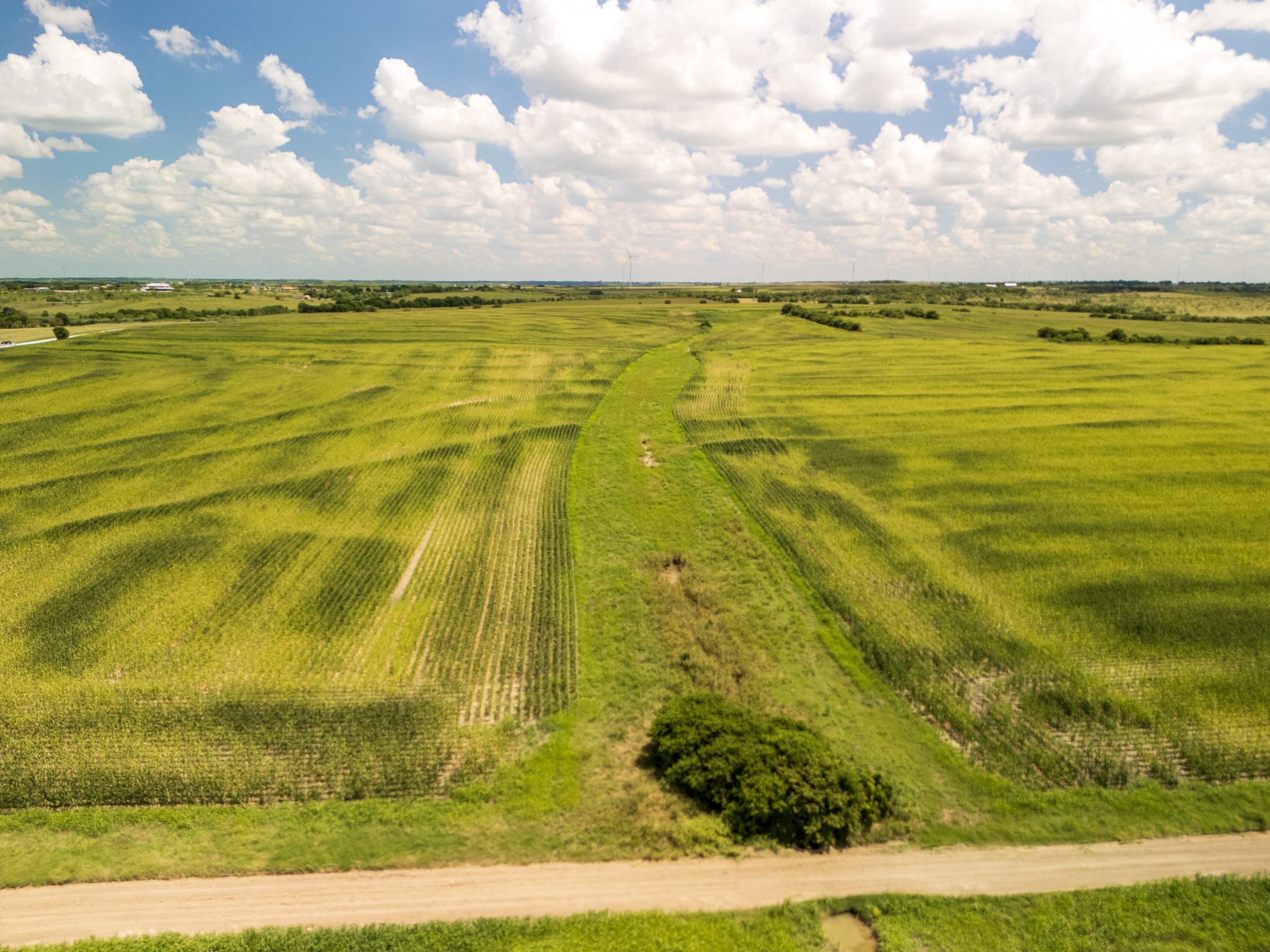 11 Acres County Rd 3150