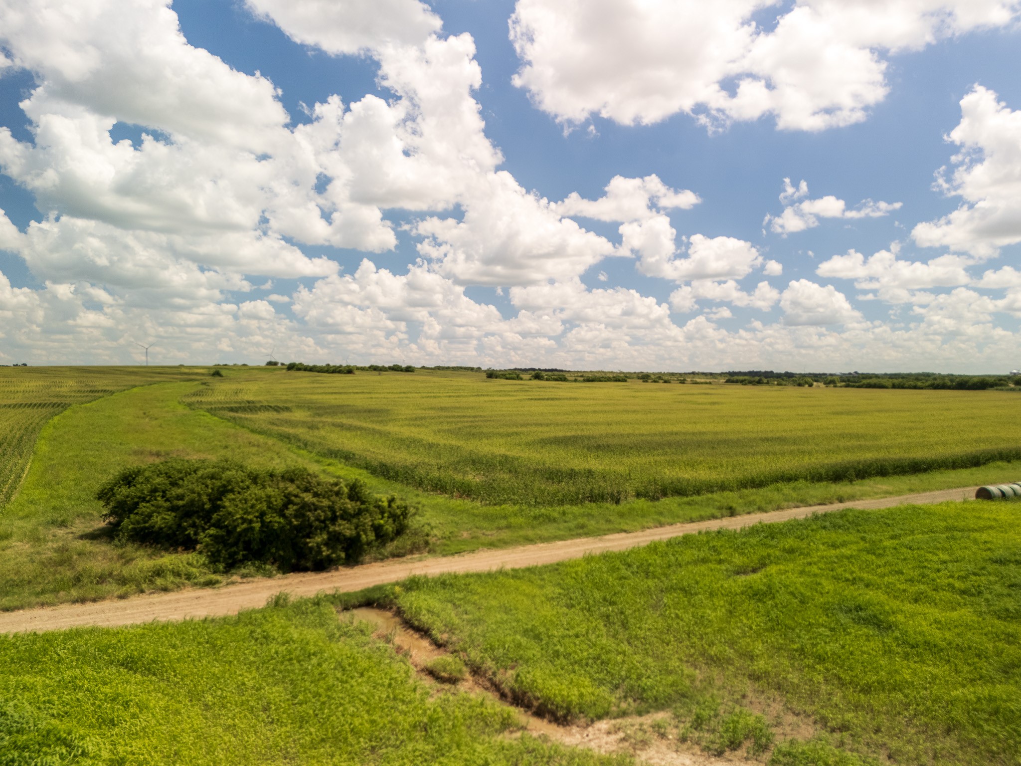 11 Acres County Rd 3150