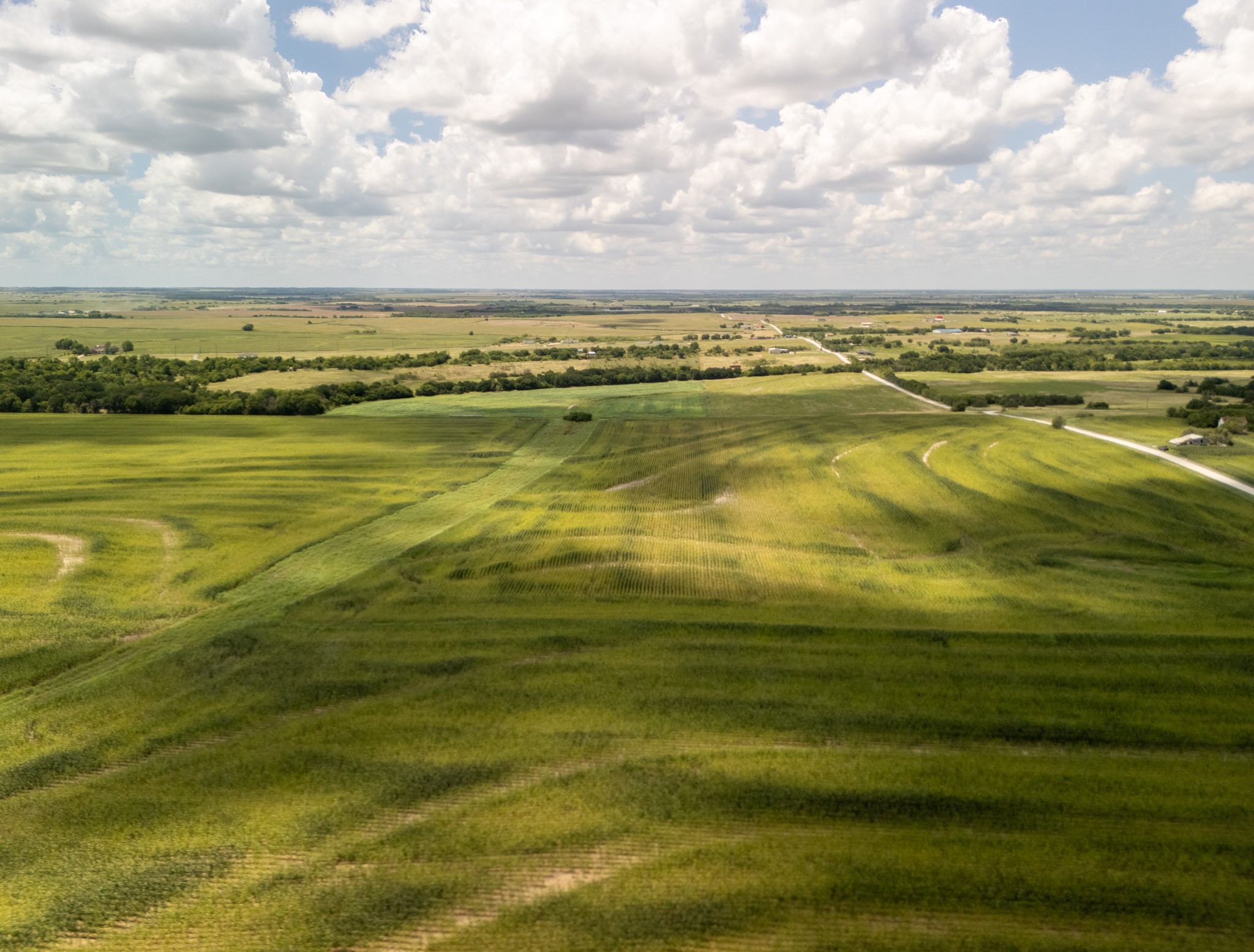 11 Acres County Rd 3150