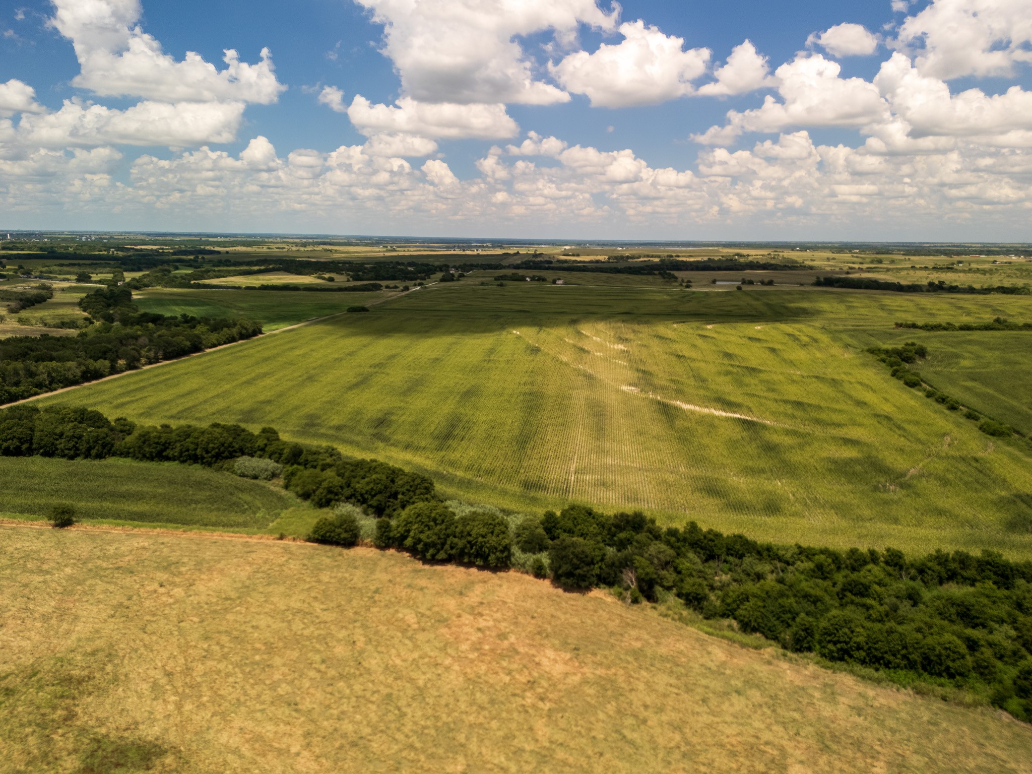 11 Acres County Rd 3150