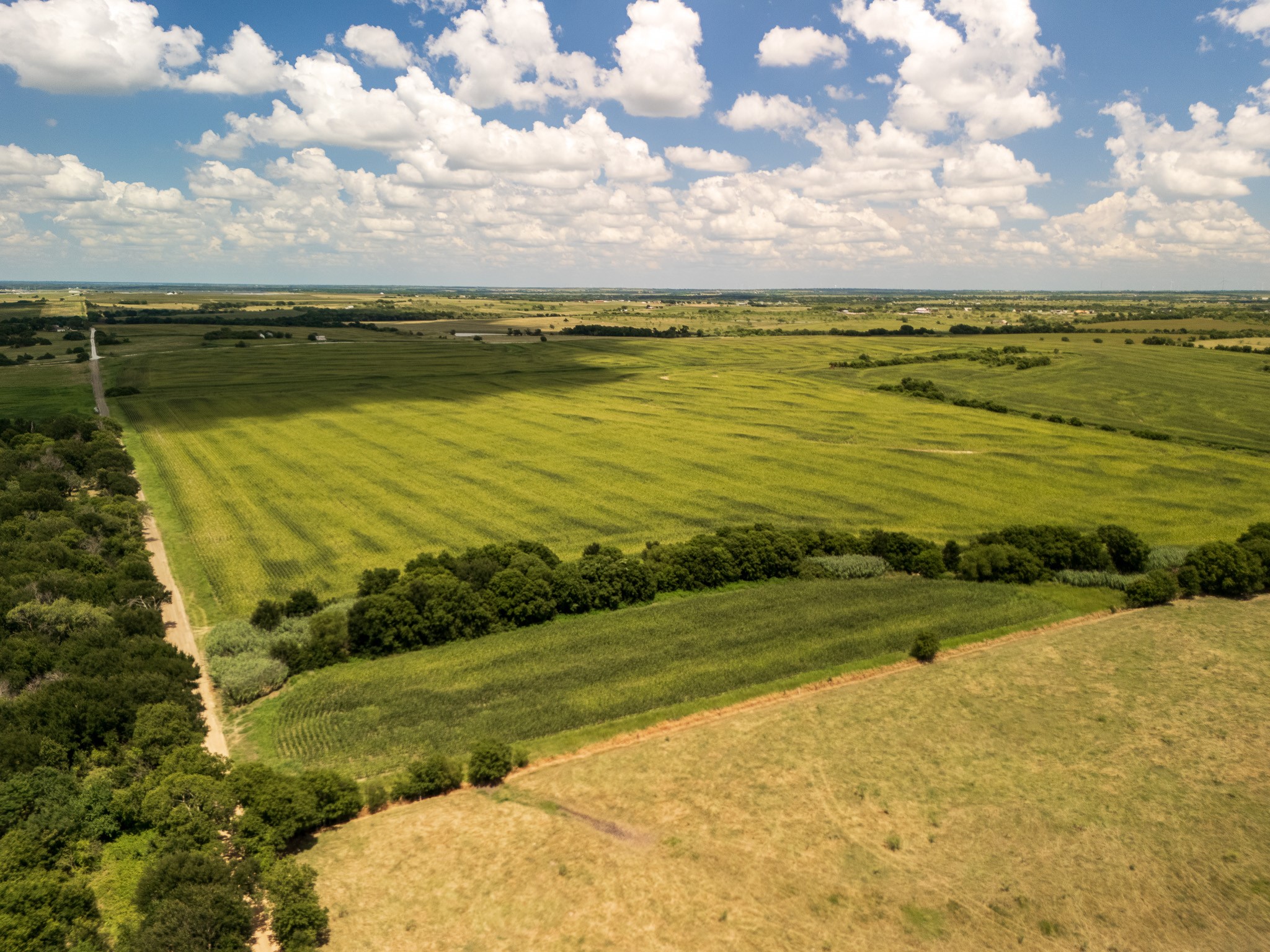 11 Acres County Rd 3150