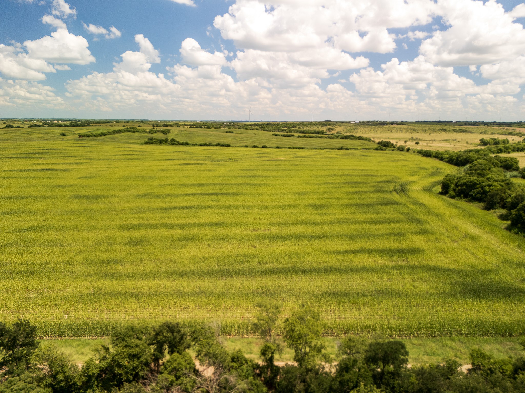 11 Acres County Rd 3150