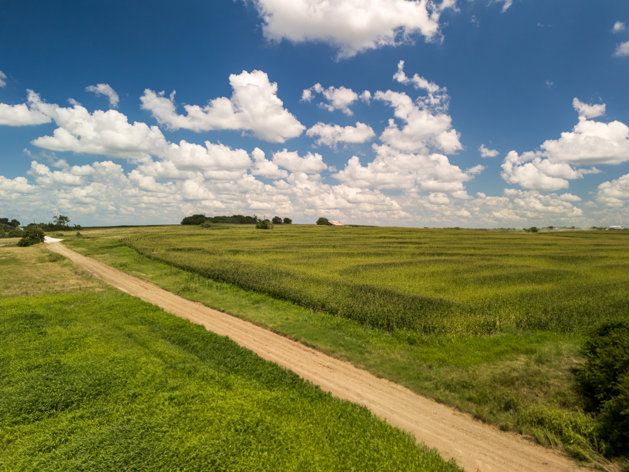 11 Acres County Rd 3150