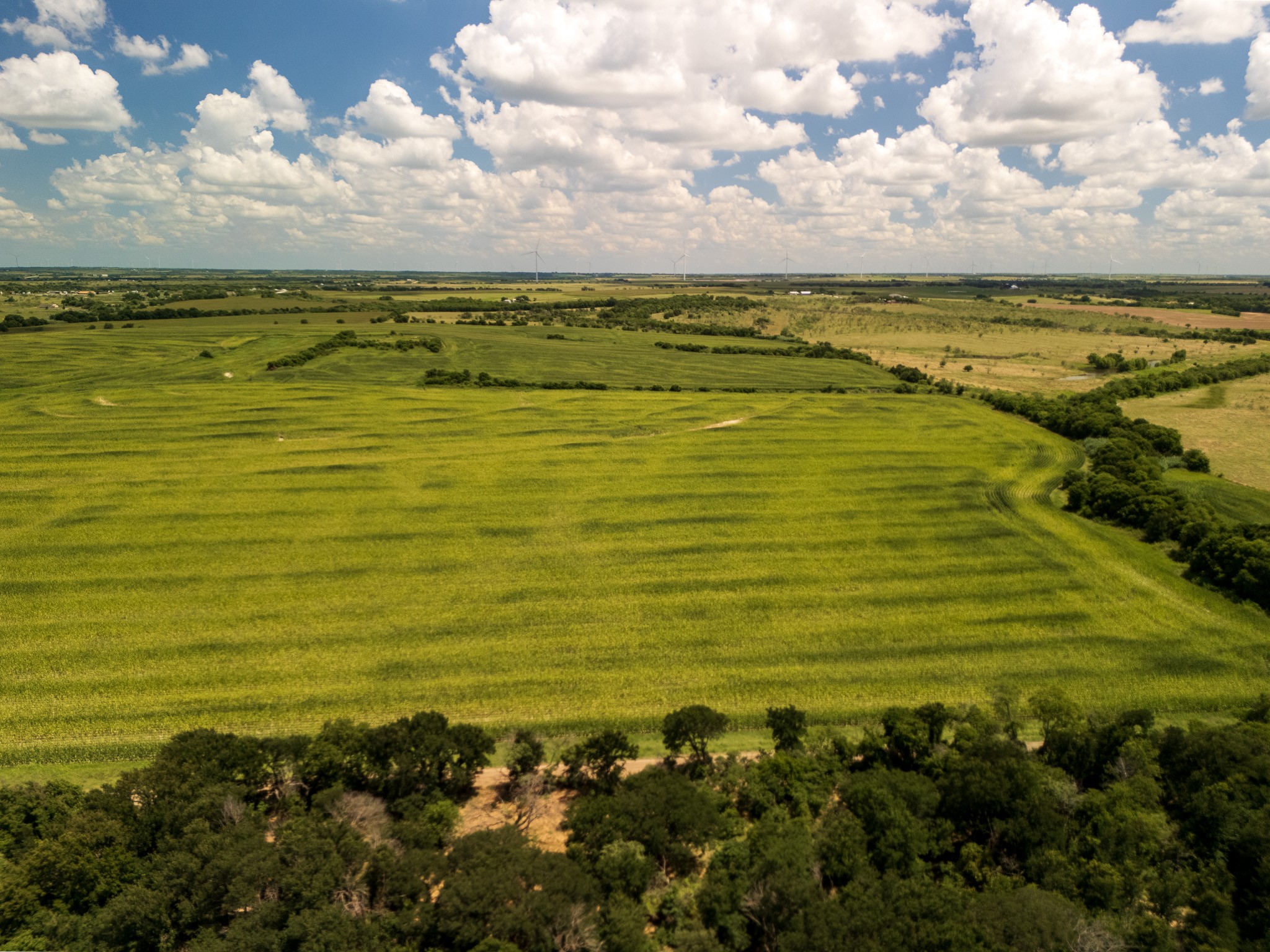 11 Acres County Rd 3150
