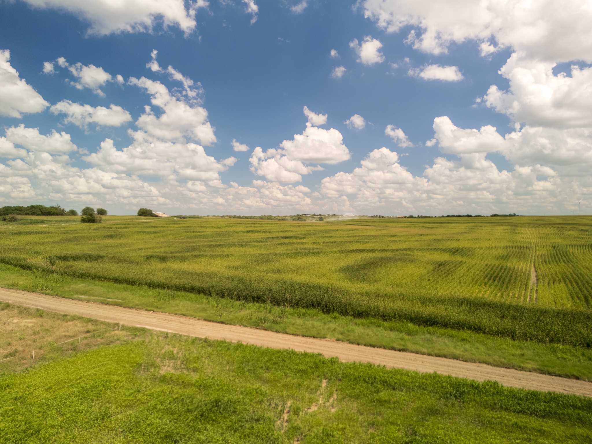 11 Acres County Rd 3150